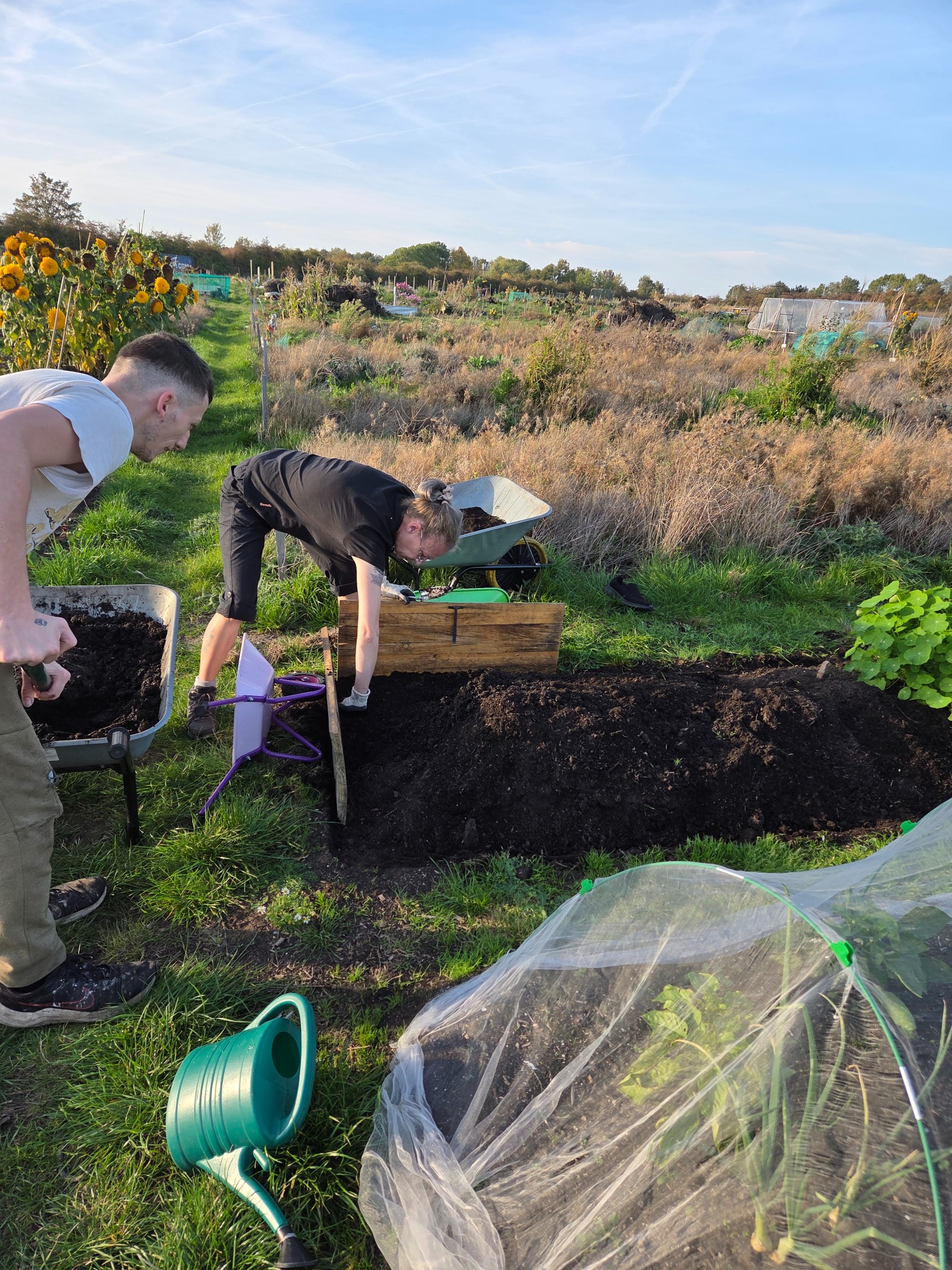 Working next to the mess Two people tending to a garden, one digging and the other managing soil in a sunny field.