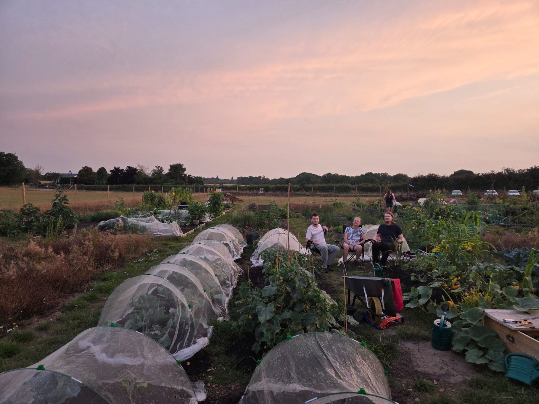 Community members gardening at sunset, surrounded by plants and protective covers.
