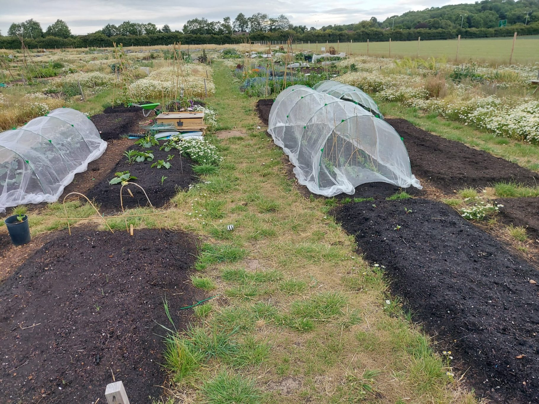Vegetable garden plots with protective nets, freshly prepared soil, and greenery in the background.
