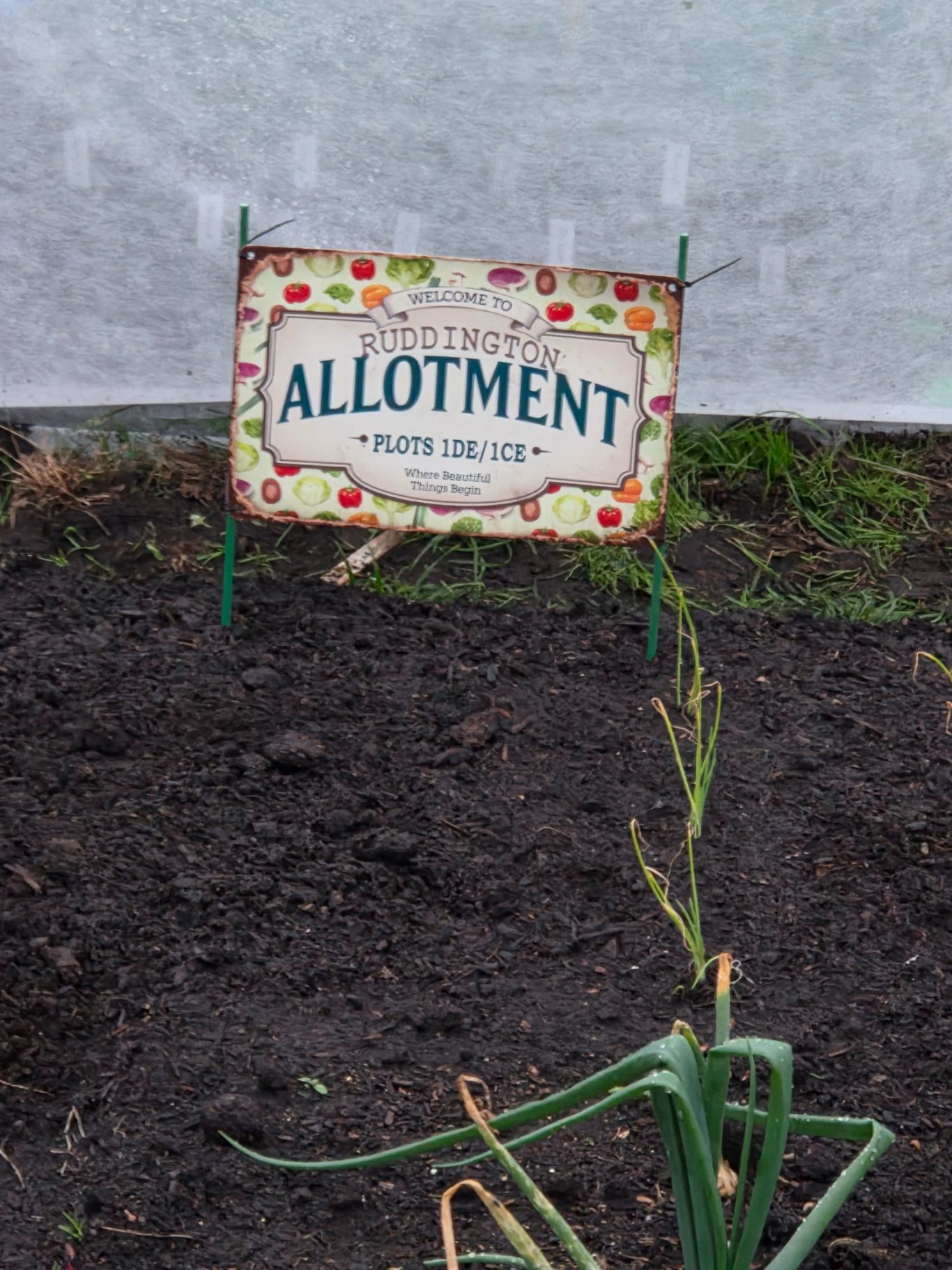 A sign reading "Allotment" in a garden bed with soil and a plant nearby.
