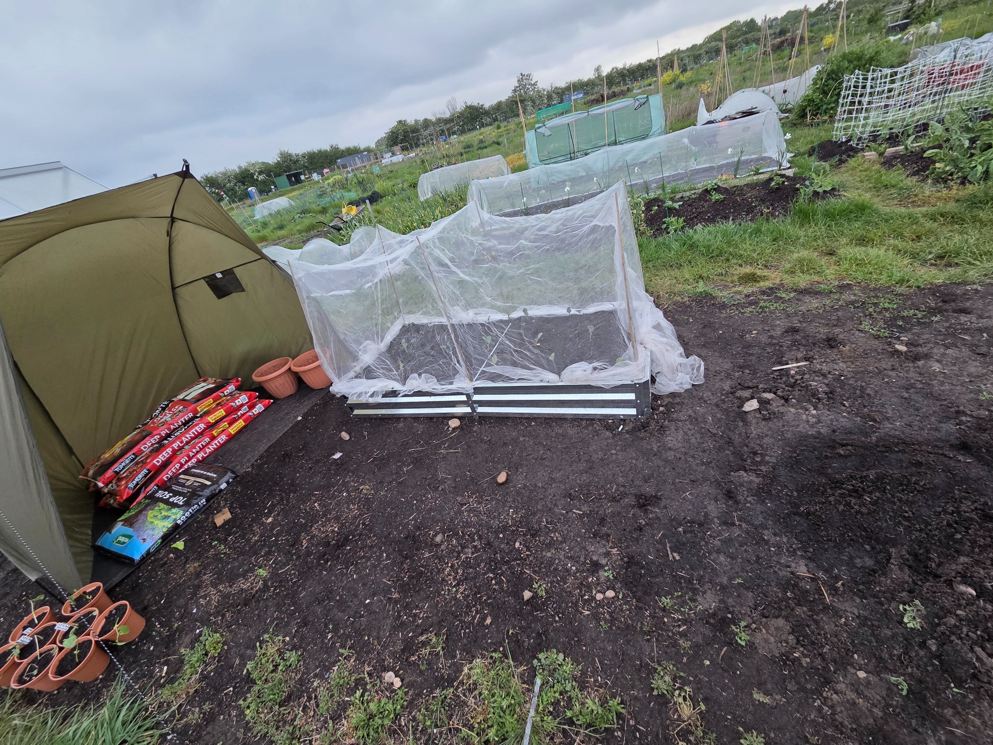 Newly built raised bed A garden plot with a tent, raised bed covered in plastic, and tools on the ground.