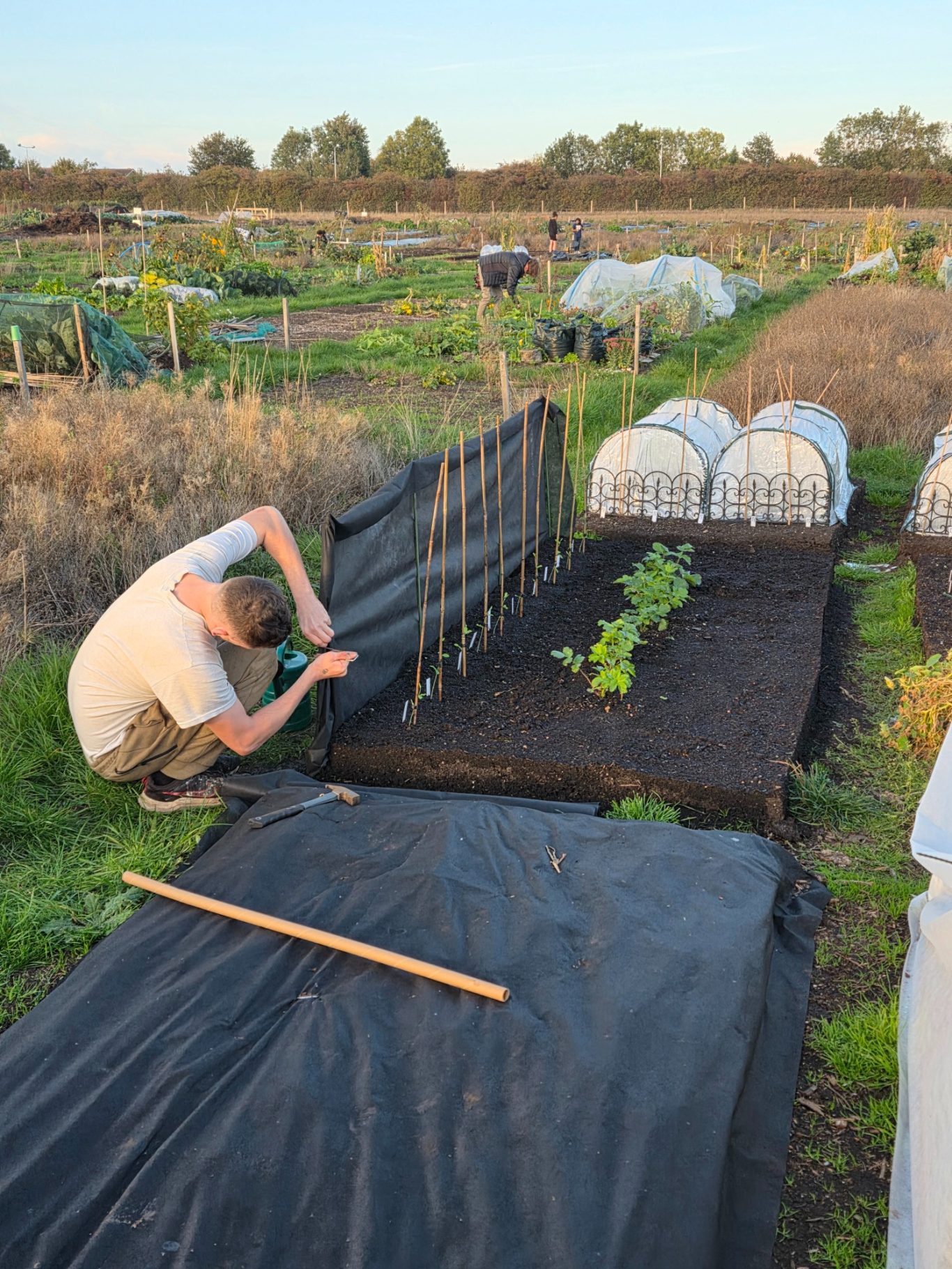 A person lays black plastic mulch on a vegetable bed in a garden.