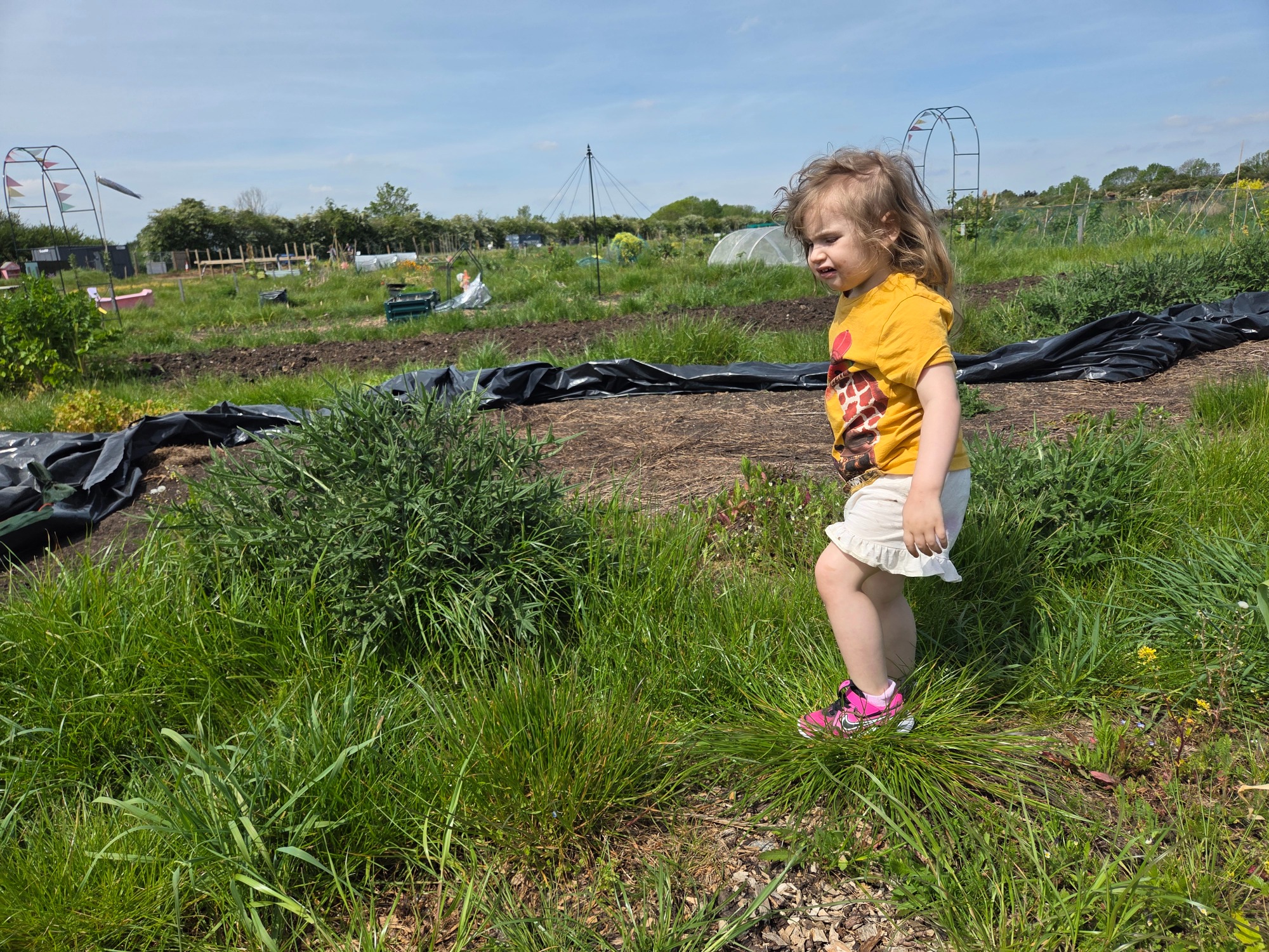 Small child next to giant thistle Child in a yellow shirt playing on a grassy area in a garden.