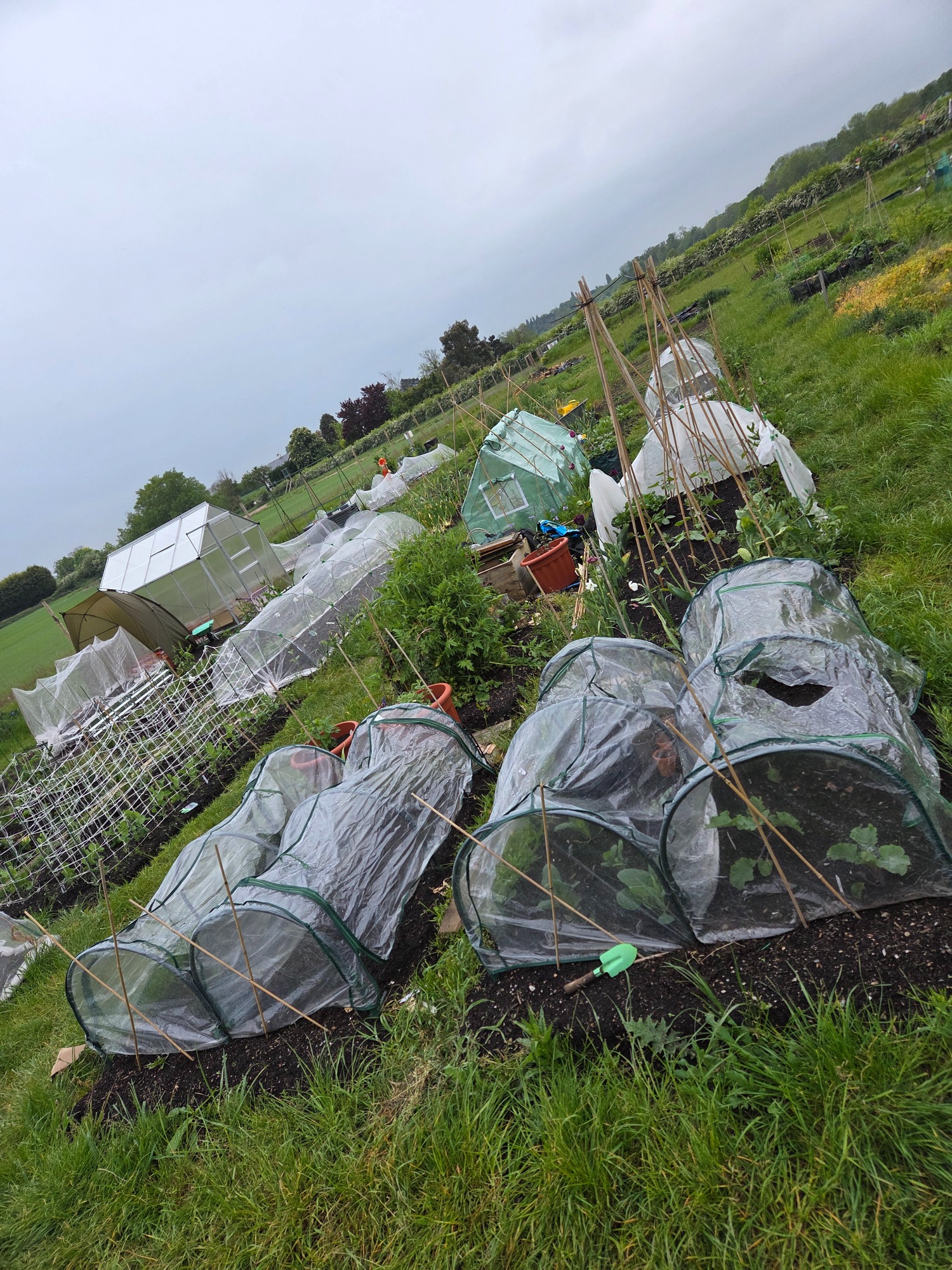 Plot 1DE Several garden plots covered with protective mesh, a person tending to the plants nearby.
