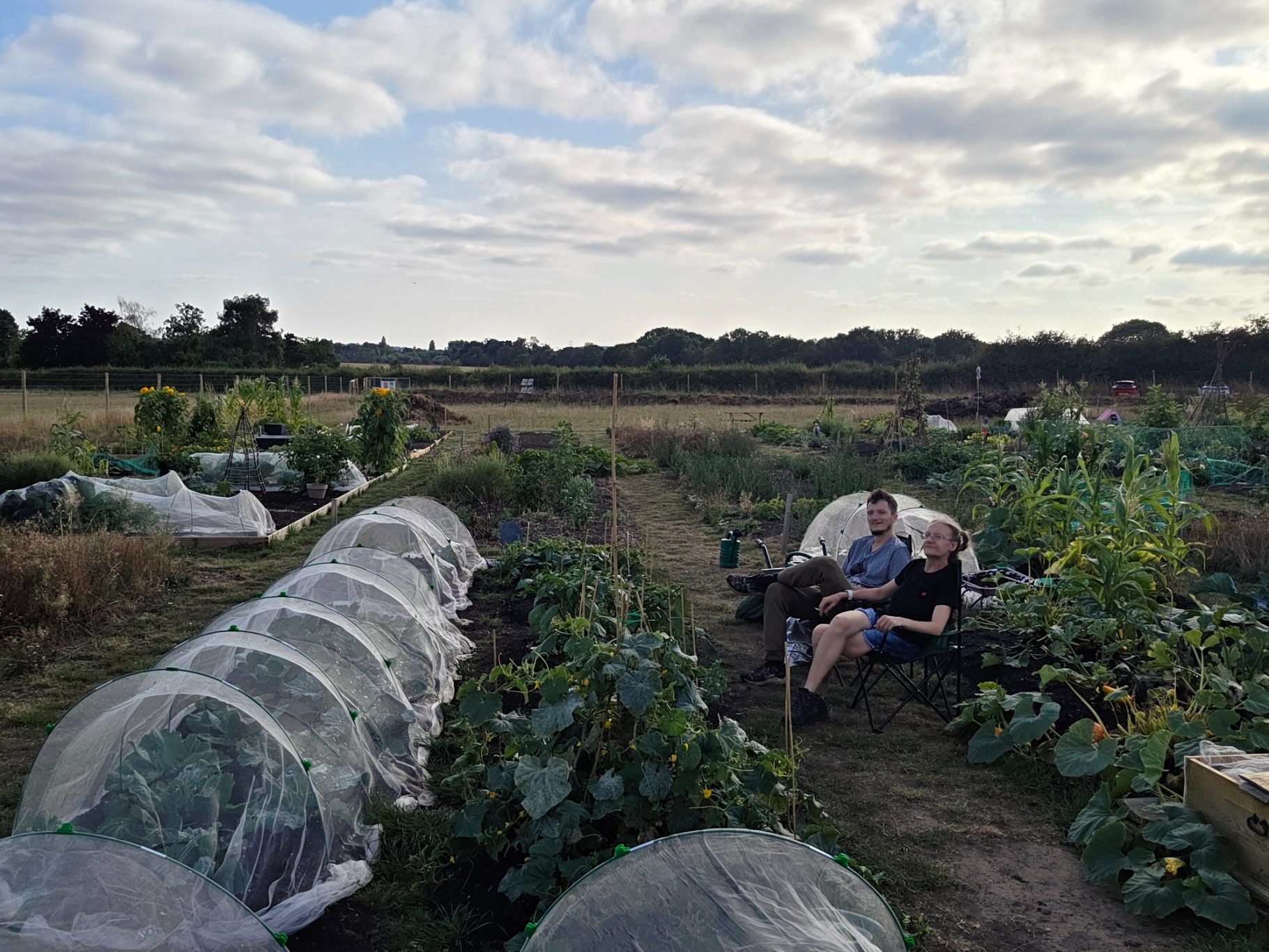 Two people relax in a garden surrounded by various crops and protective coverings.