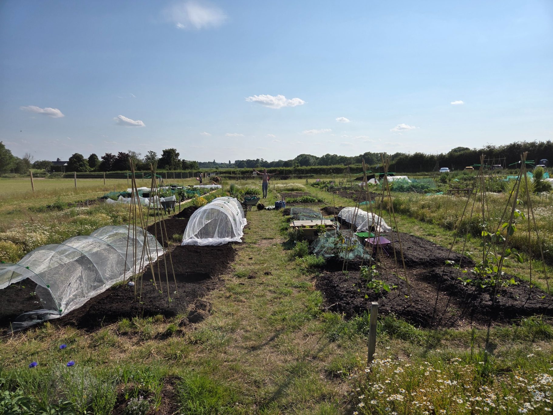 Vegetable plots with protective covers under a clear blue sky.