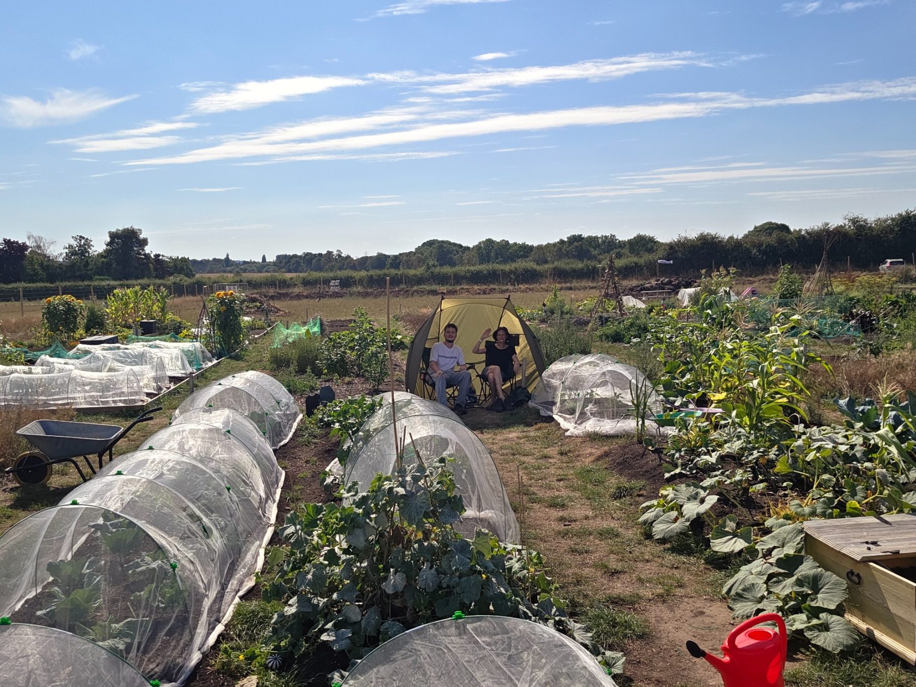 A vibrant community garden with vegetable plots and protective tunnels under a blue sky.
