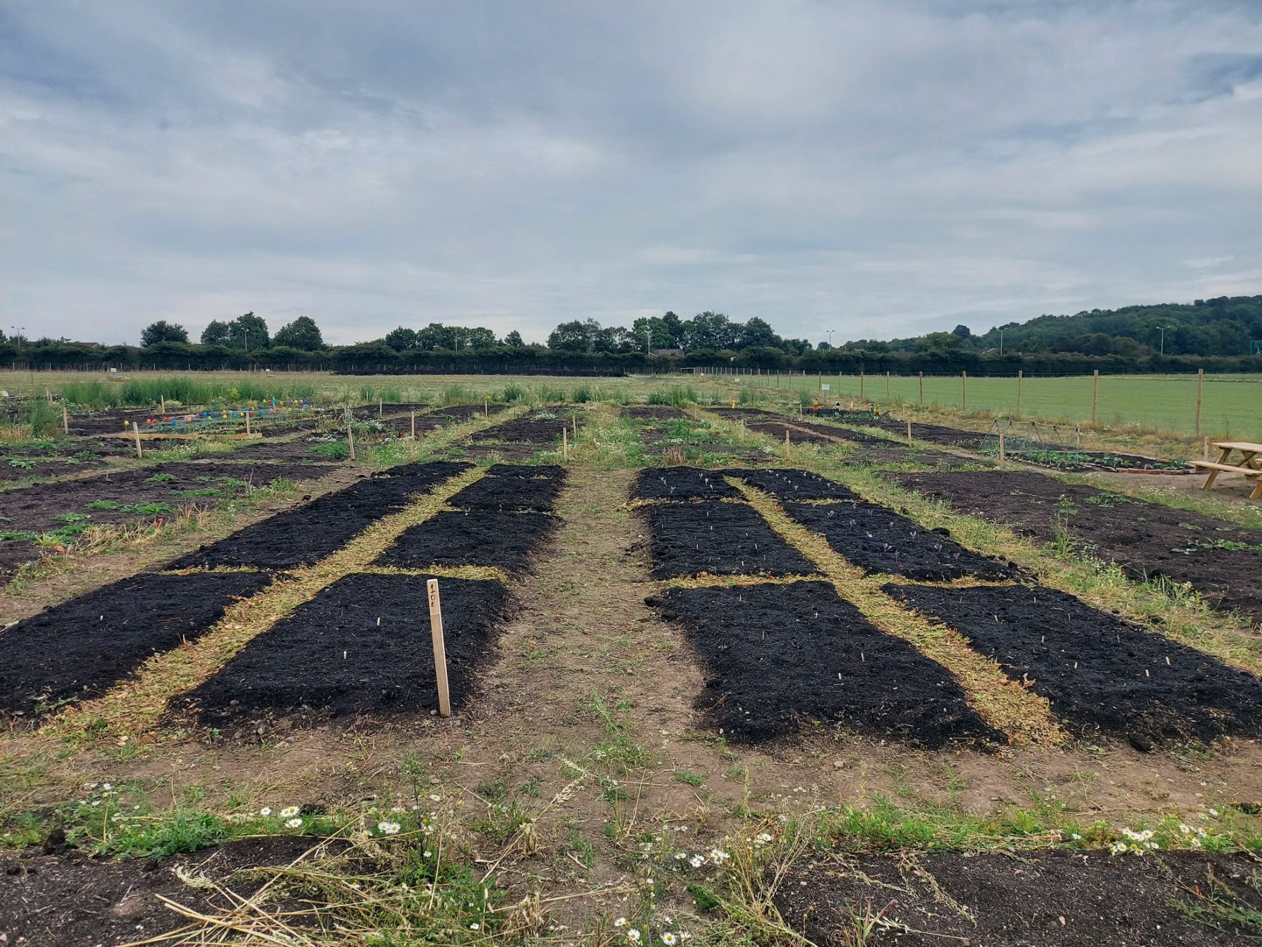 Rows of dark soil in a cultivation field under a cloudy sky.