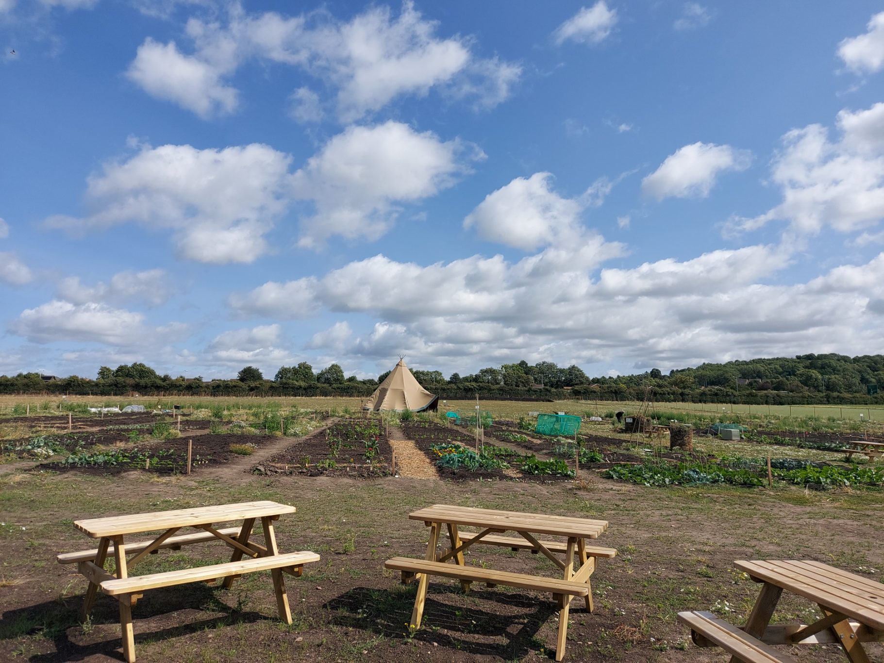 A wide view of a garden with wooden picnic tables and a tipi under a cloudy blue sky.