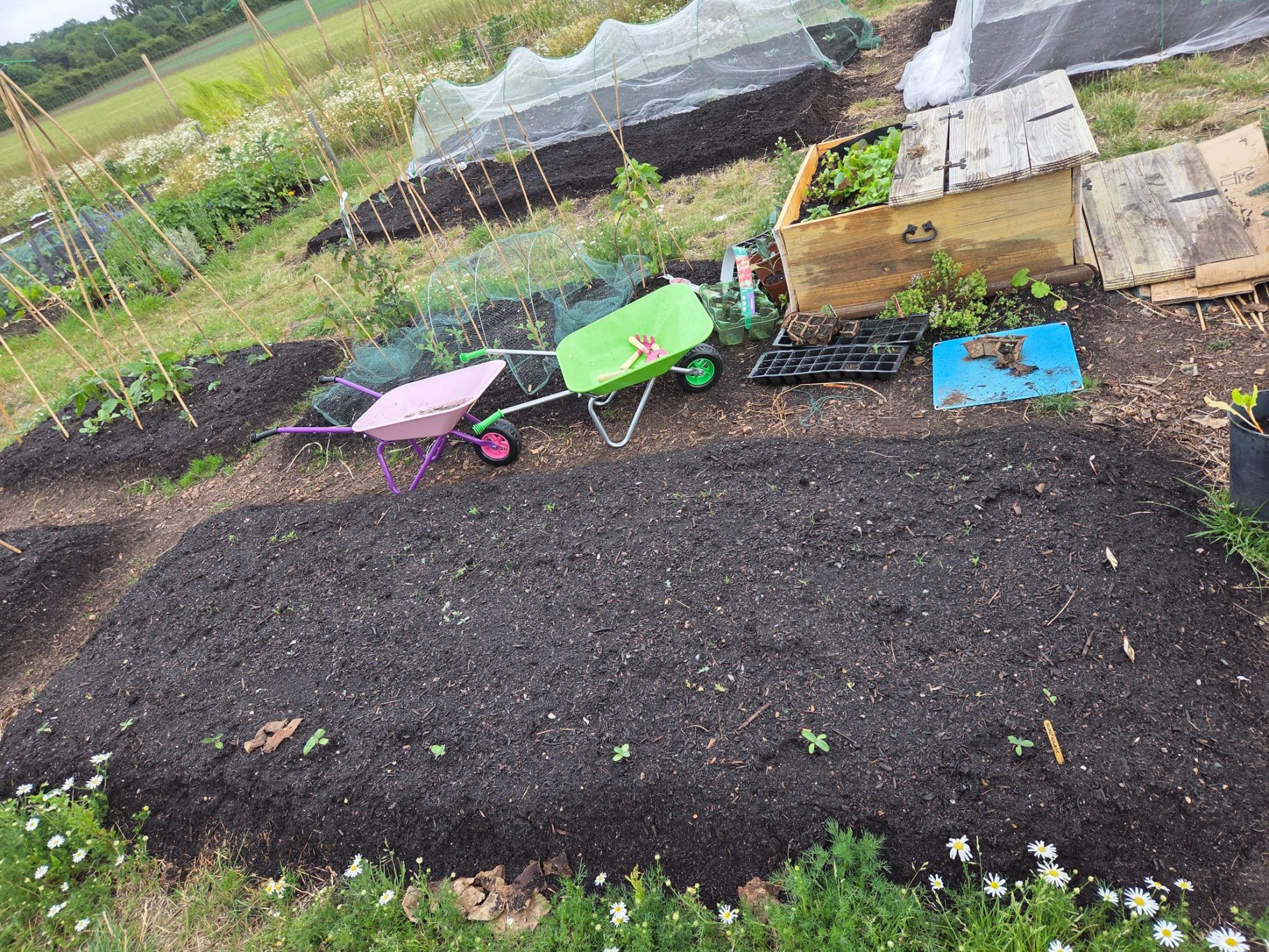 Vegetable garden with soil beds, wheelbarrows, and nearby gardening equipment.