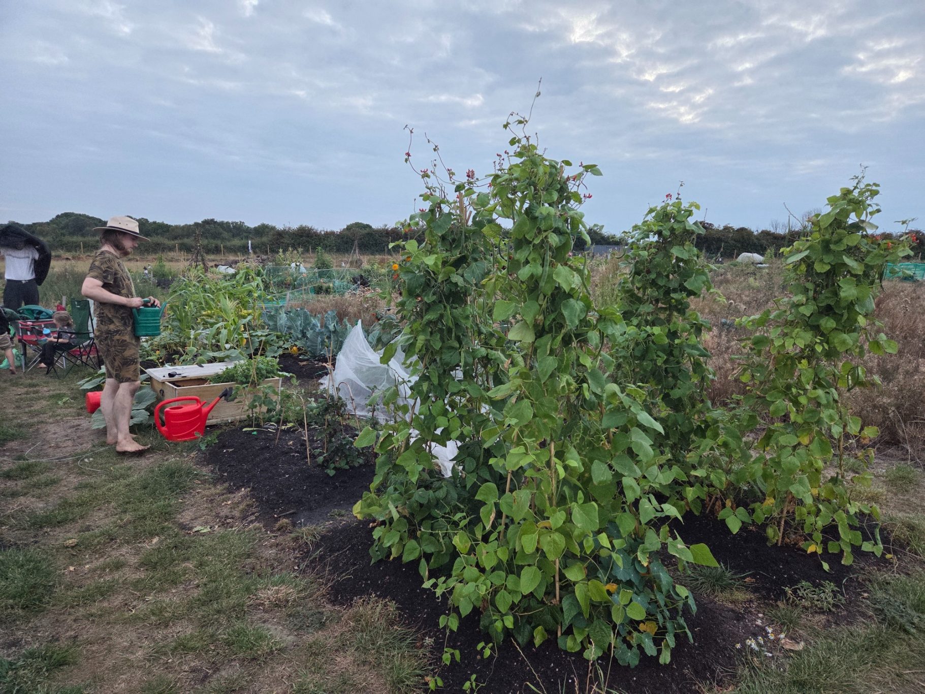 Person tending to plants in a garden with lush greenery and a cloudy sky.
