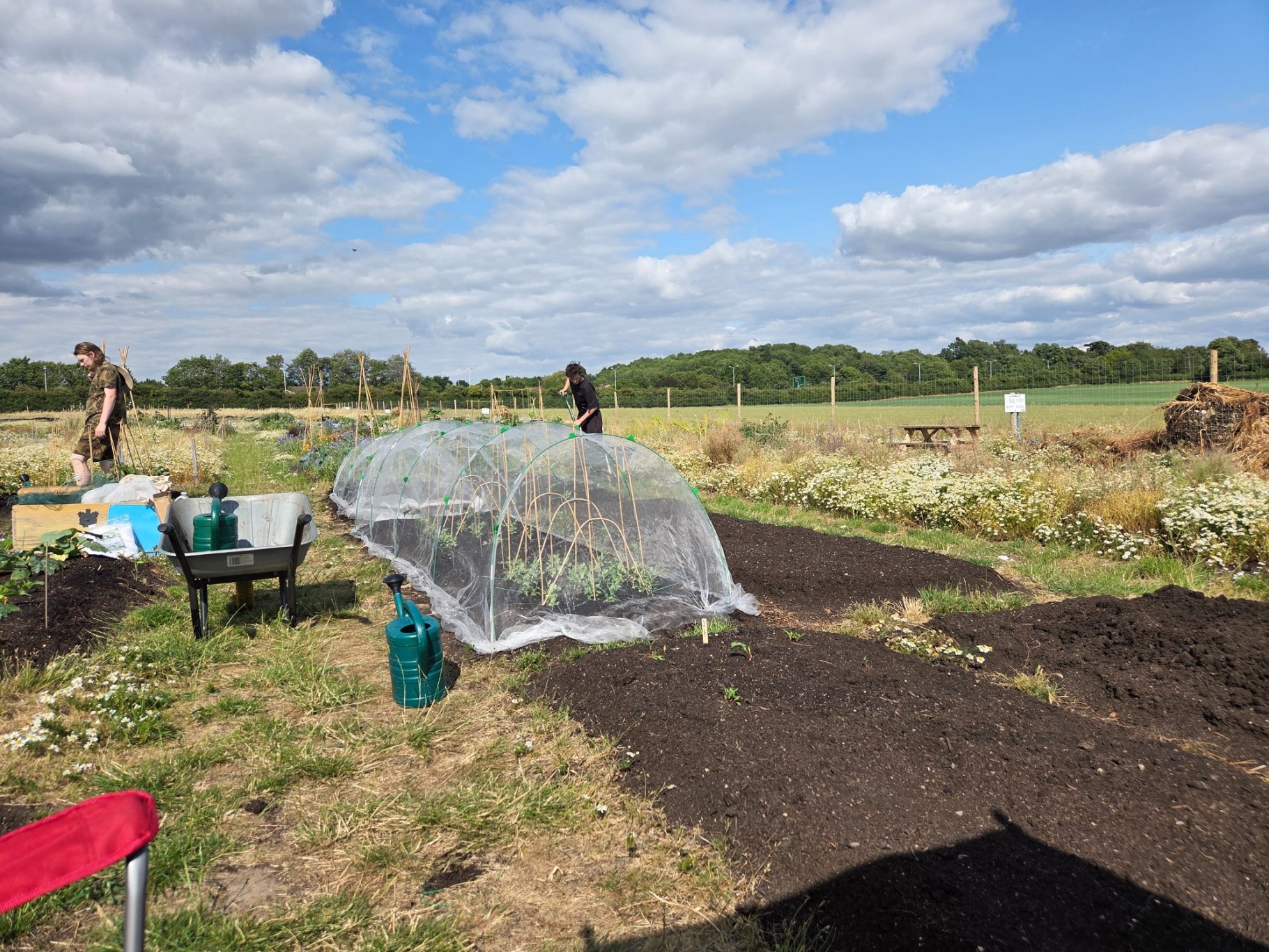 Two people working in a field with gardening tools and a crop cover under a blue sky.