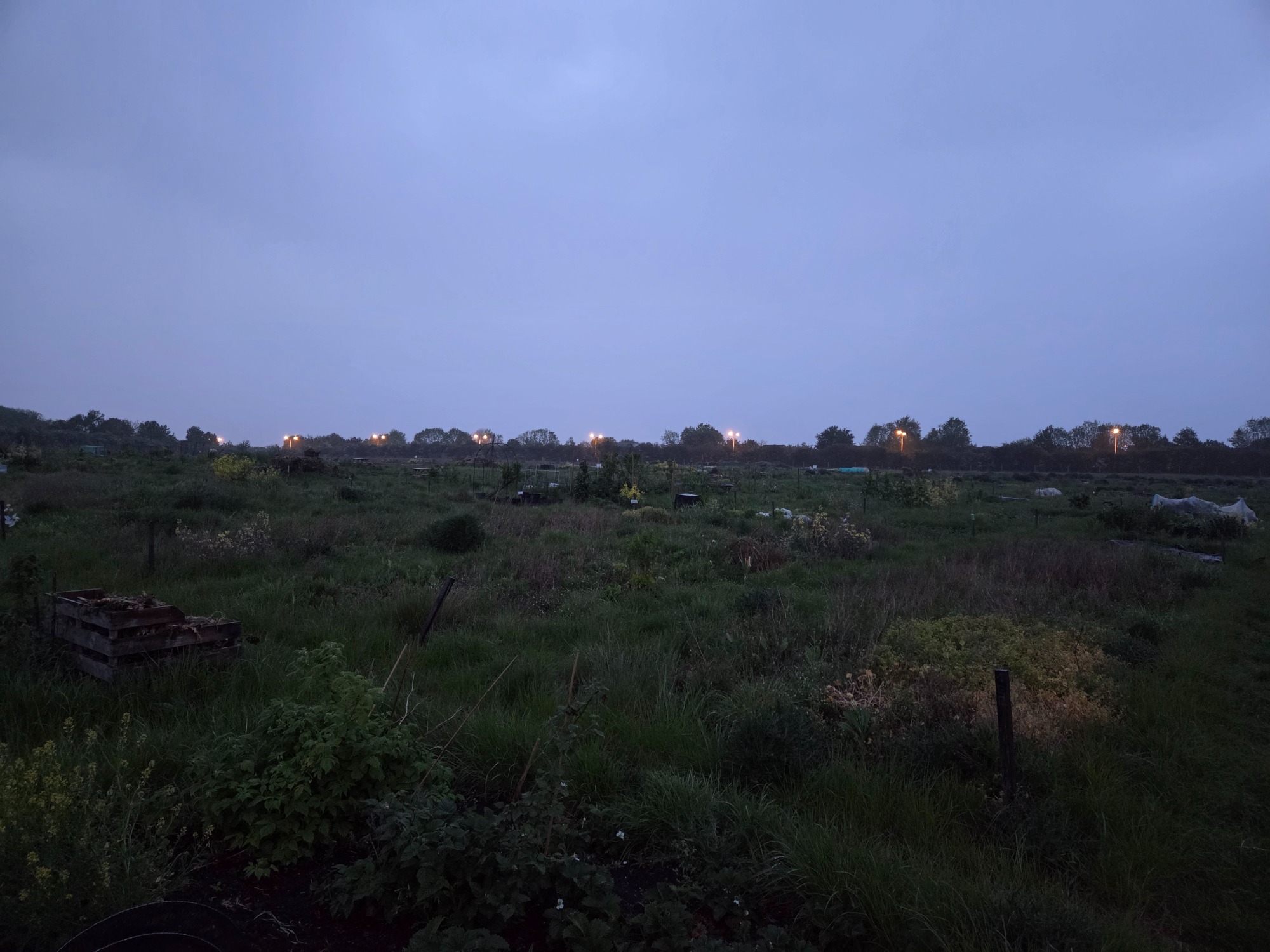 Wilderness A vast grassy landscape under a cloudy sky during twilight.