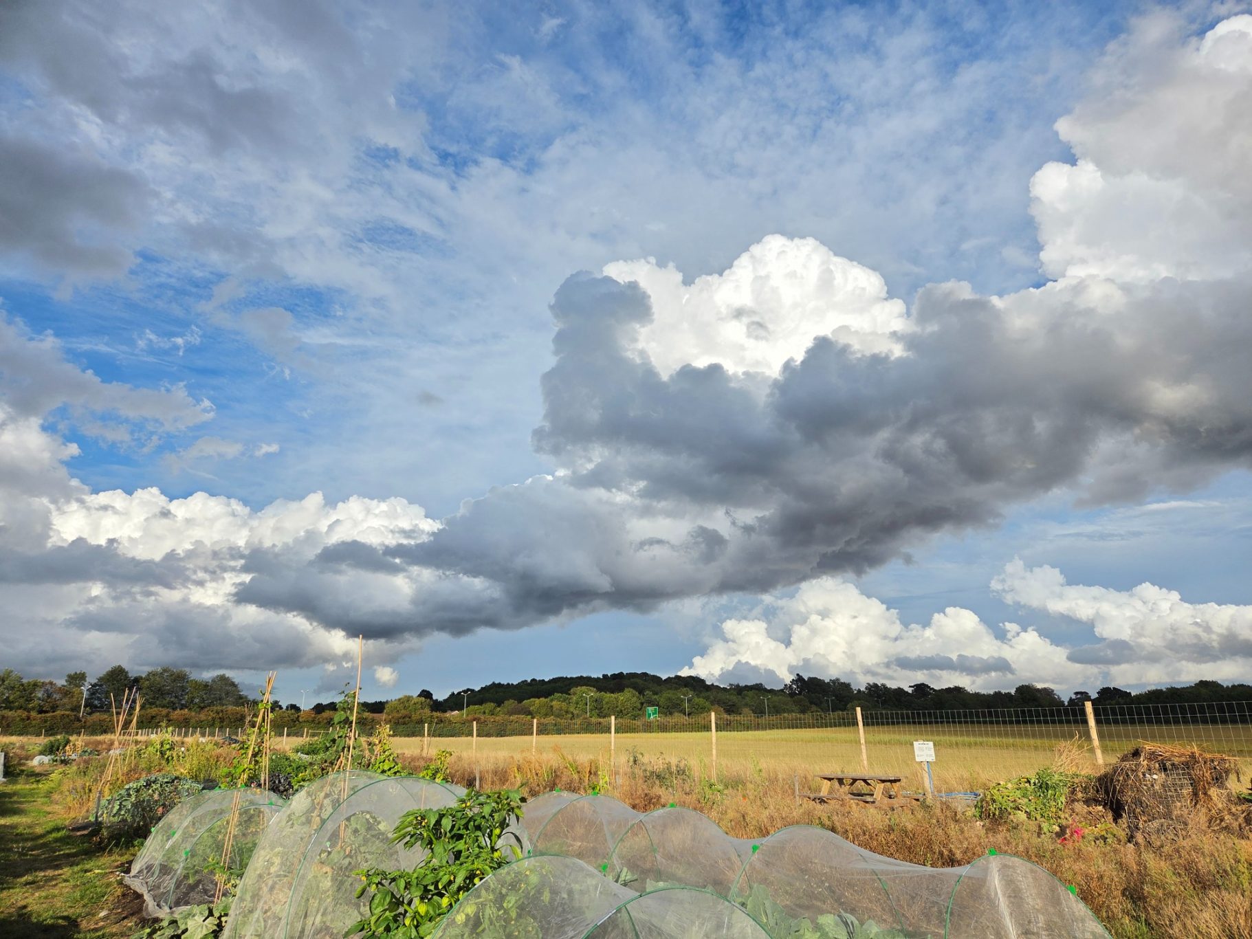 Expansive sky with clouds over a green field and distant trees.