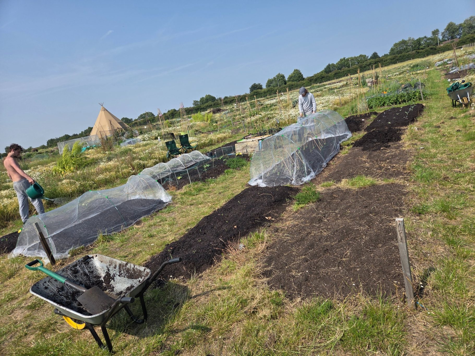 People working in a community garden with raised beds and gardening tools.