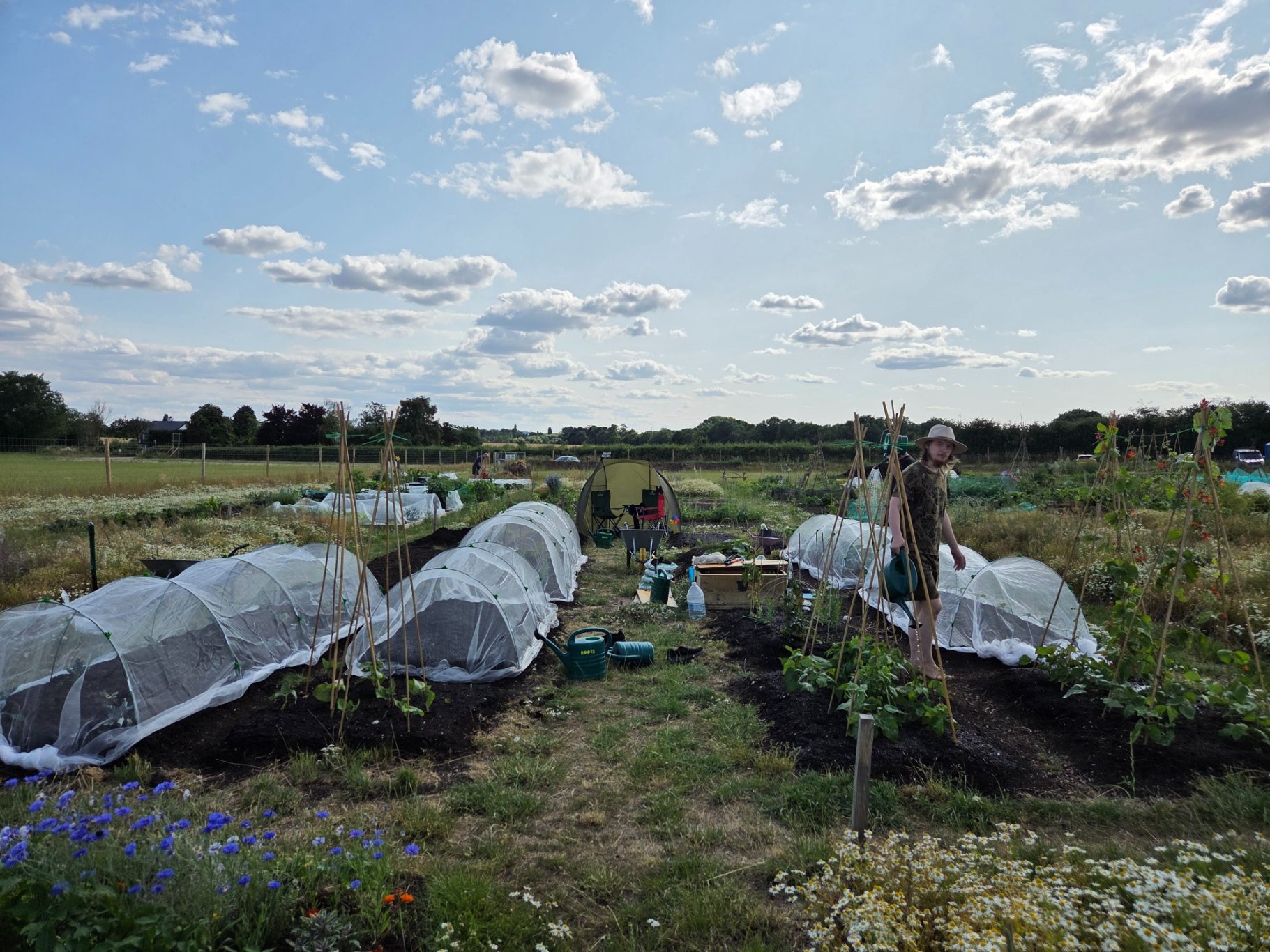 A community garden with covered vegetable beds and bright blue sky above.
