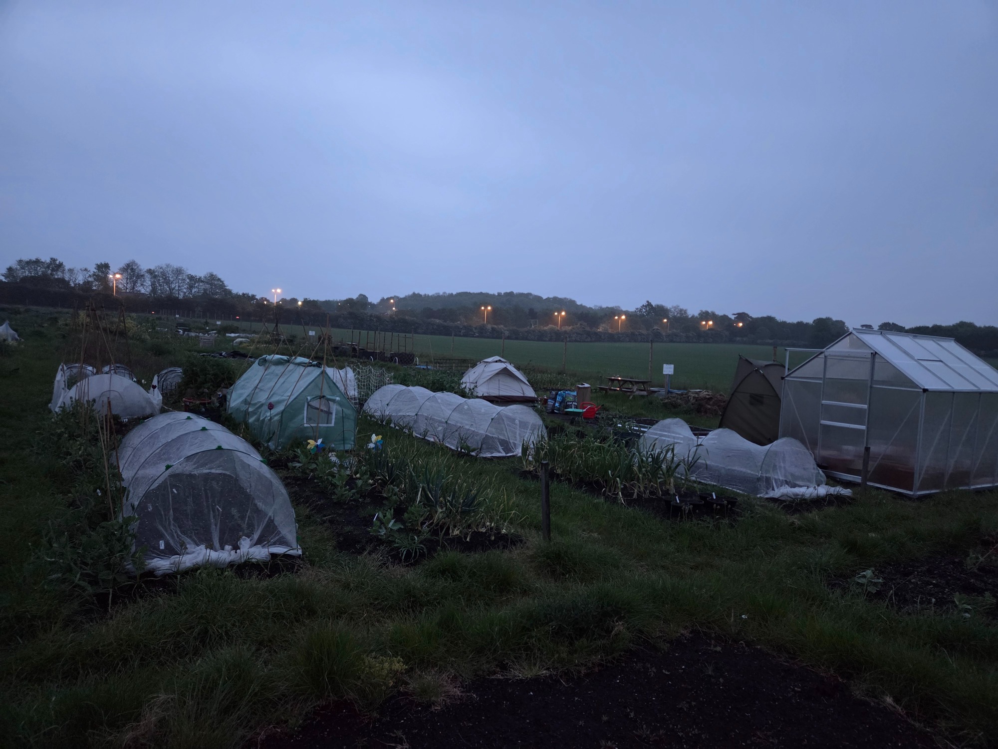 Our beautiful plots at sunset Early evening view of a garden with greenhouses and protective covers in a rural area.