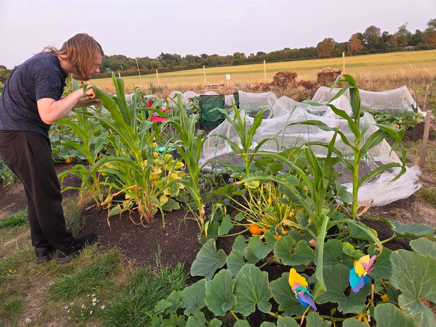 Person tending to plants in a vegetable garden with colourful decor and farmland in the background.