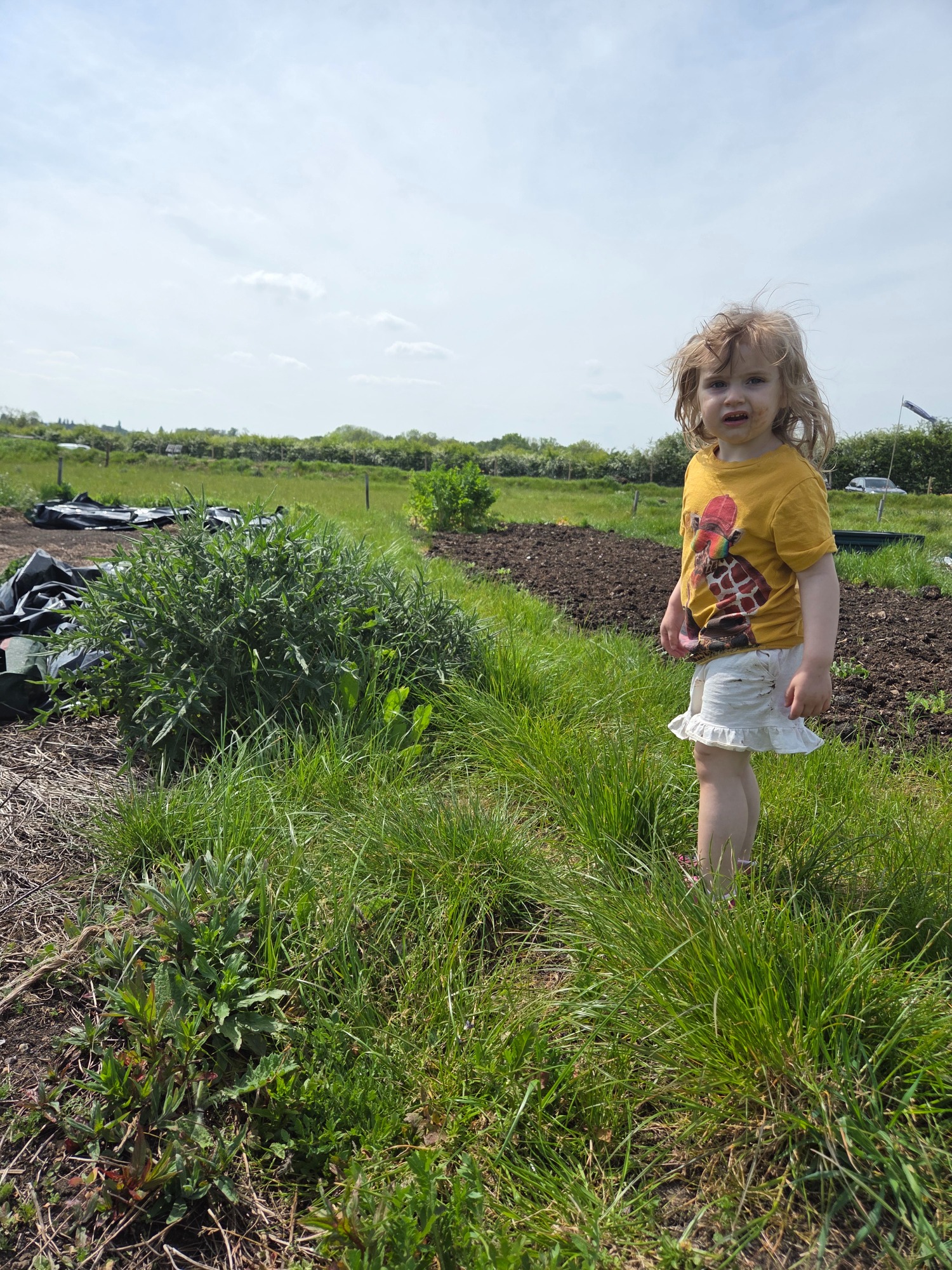 Hazardous overgrowth A young child stands in a grassy field with plants around them on a sunny day.