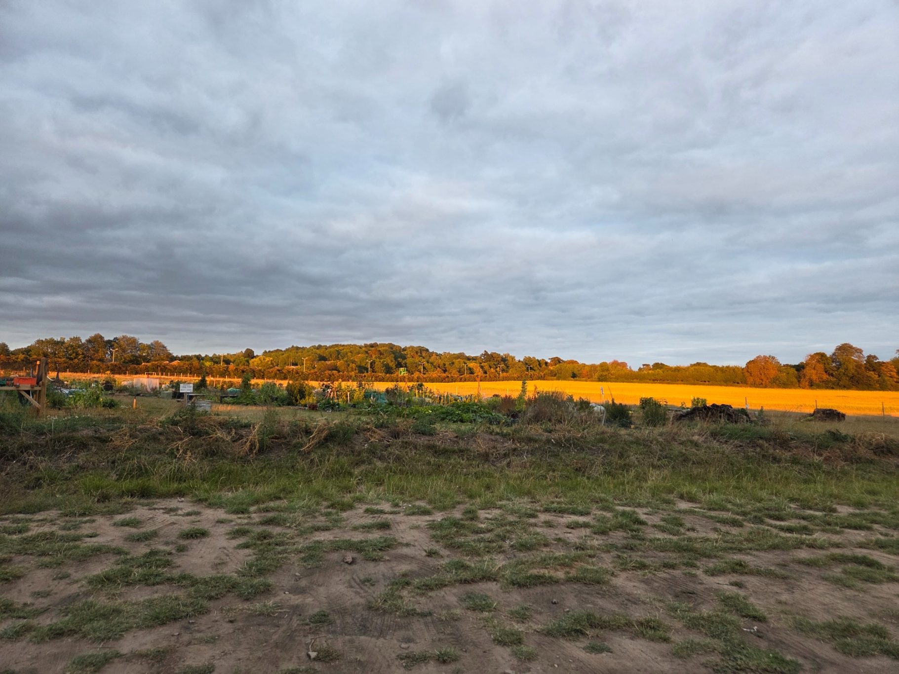 Sunlit landscape with fields and trees under a cloudy sky.
