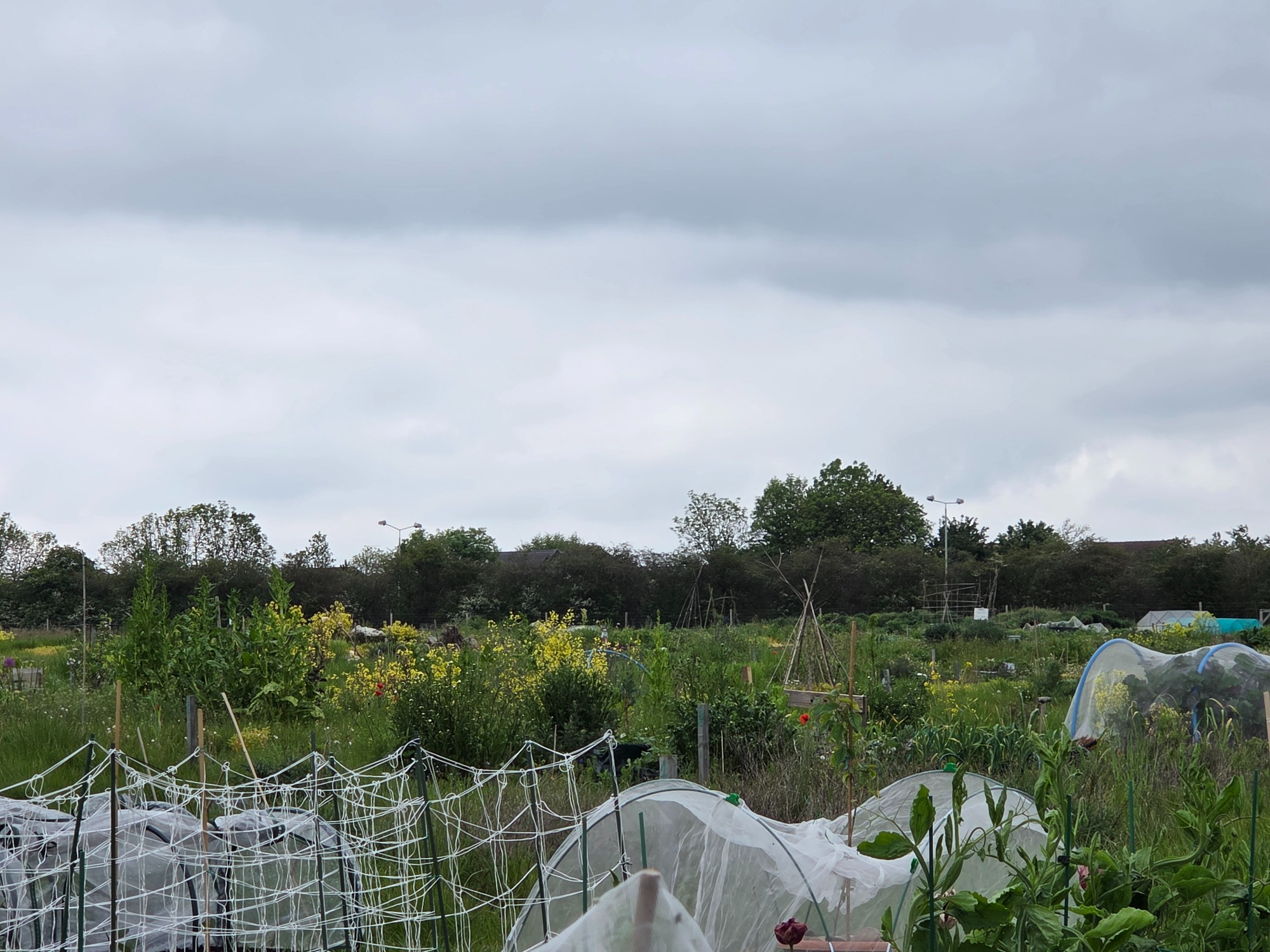 Surrounded by wasteland Lush garden landscape with greenery, flowers, and cloudy sky in the background.