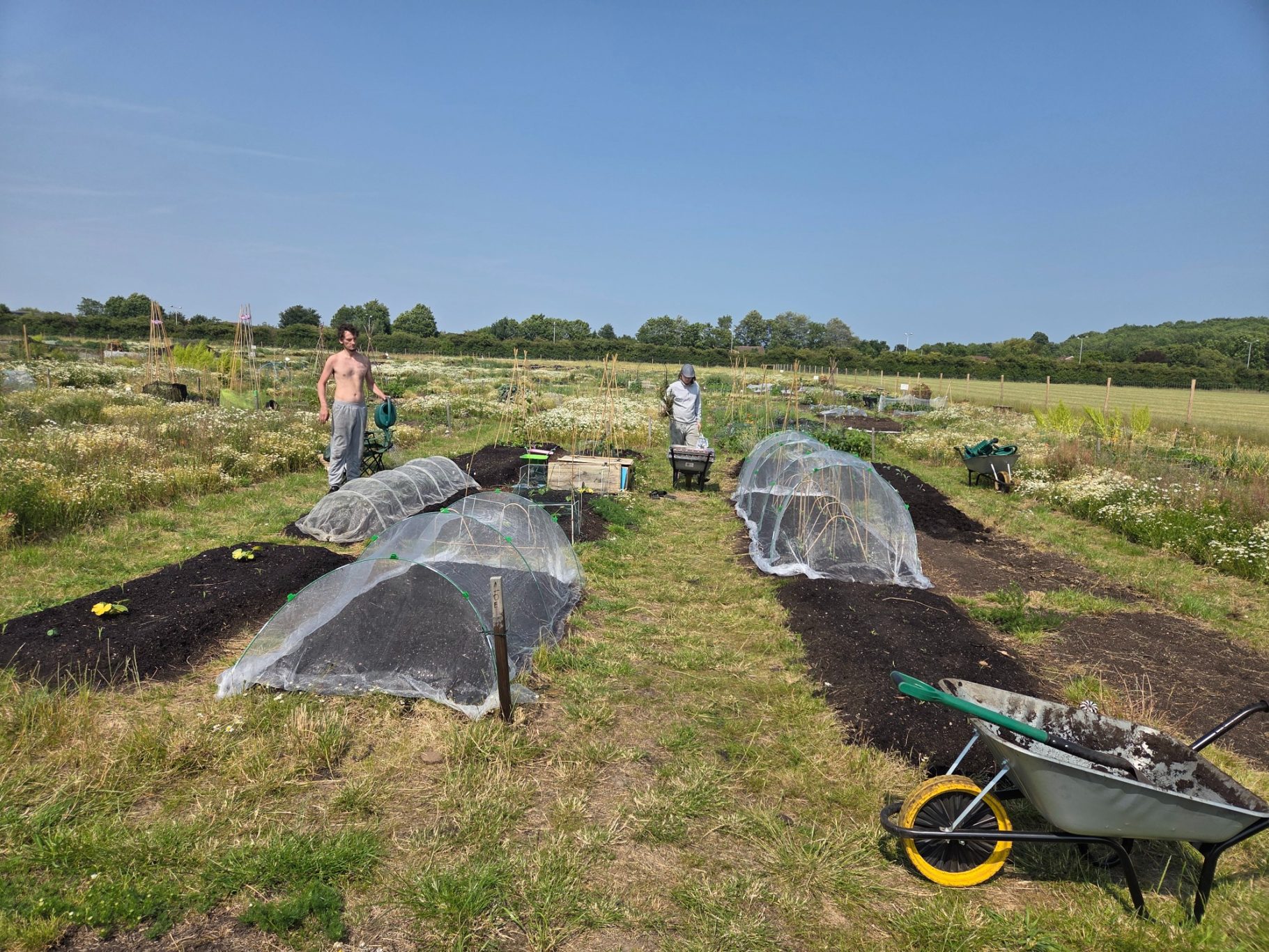 Two people working in a field with garden beds covered by plastic tunnels.