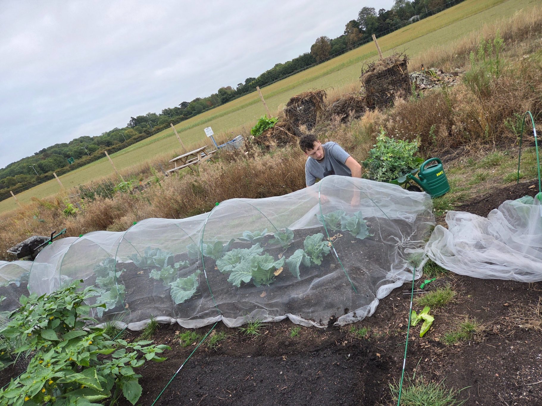 Person tending to a covered vegetable garden landscape with fields in the background.