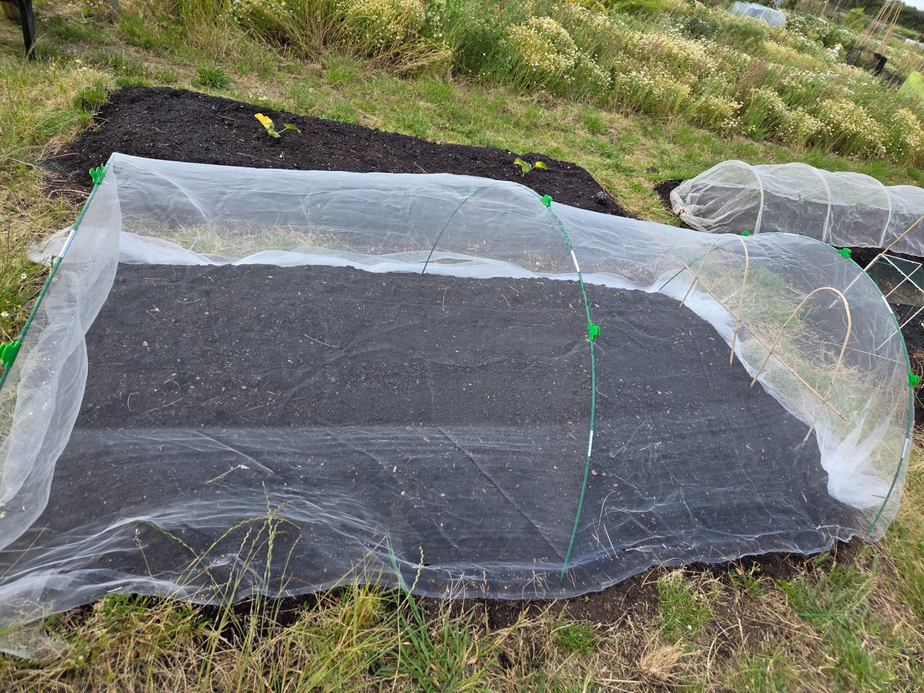 Garden beds covered with protective netting, set in a grassy area.