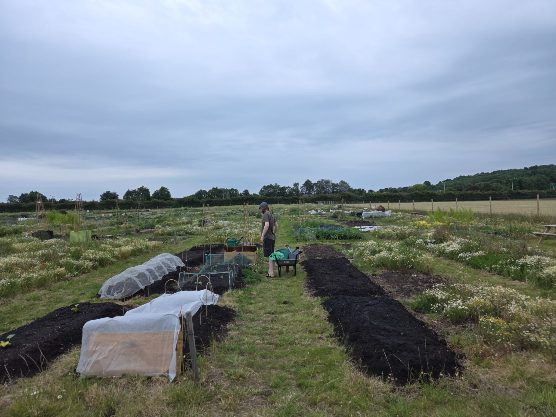 Person tending to garden beds in a rural field under a cloudy sky.