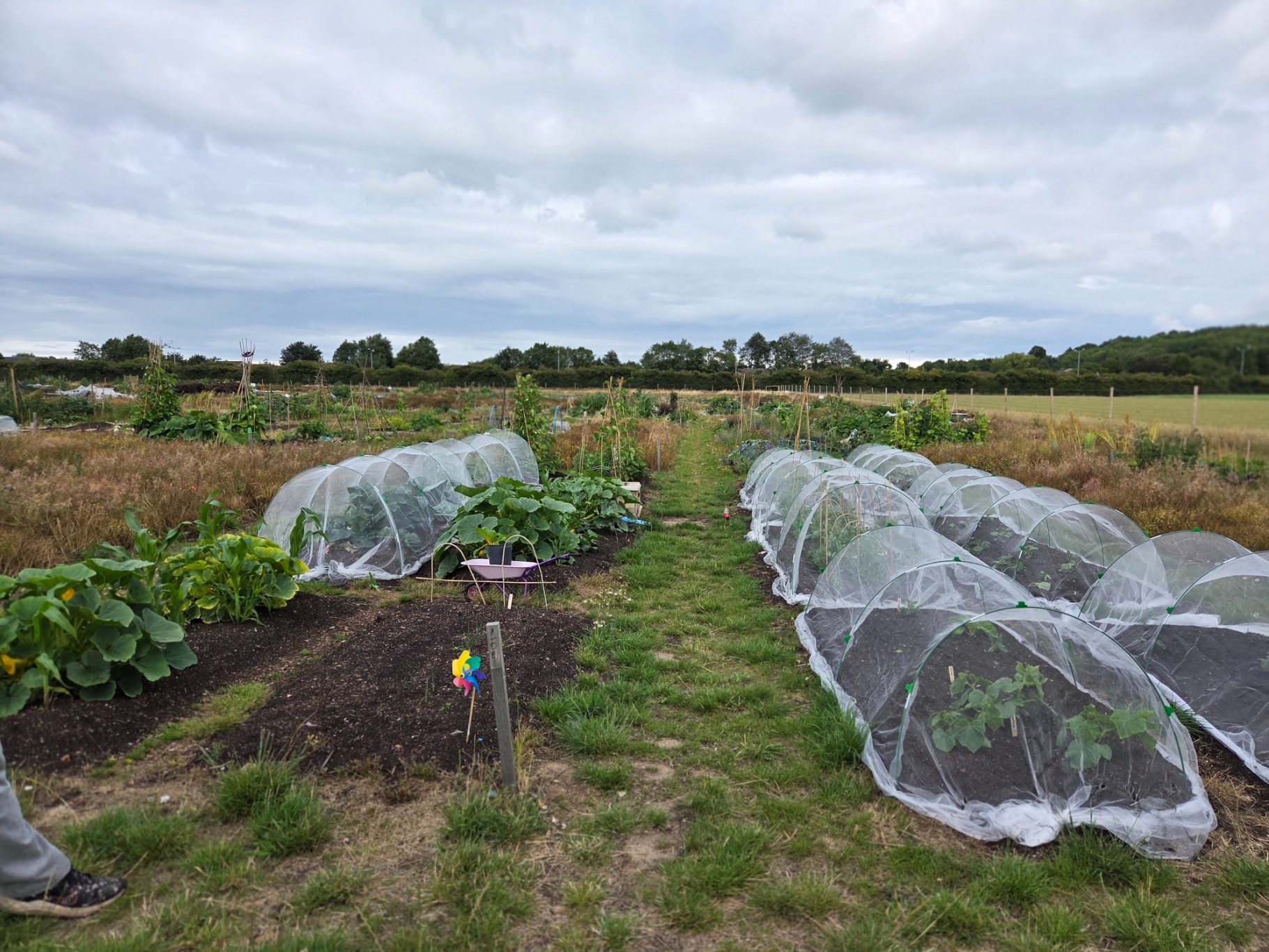 A farm plot with covered vegetable beds and a pathway between them under a cloudy sky.