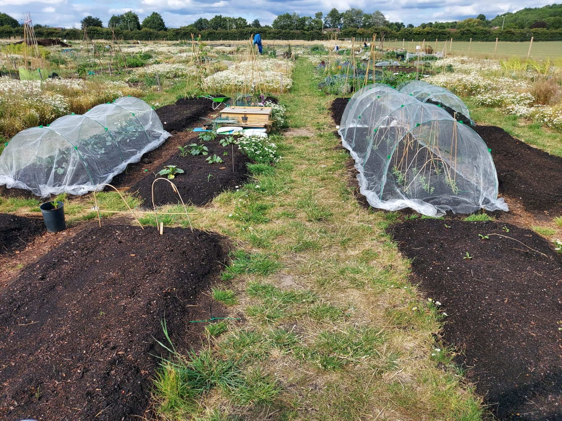 Vegetable garden beds with protective covers and a person in the background.