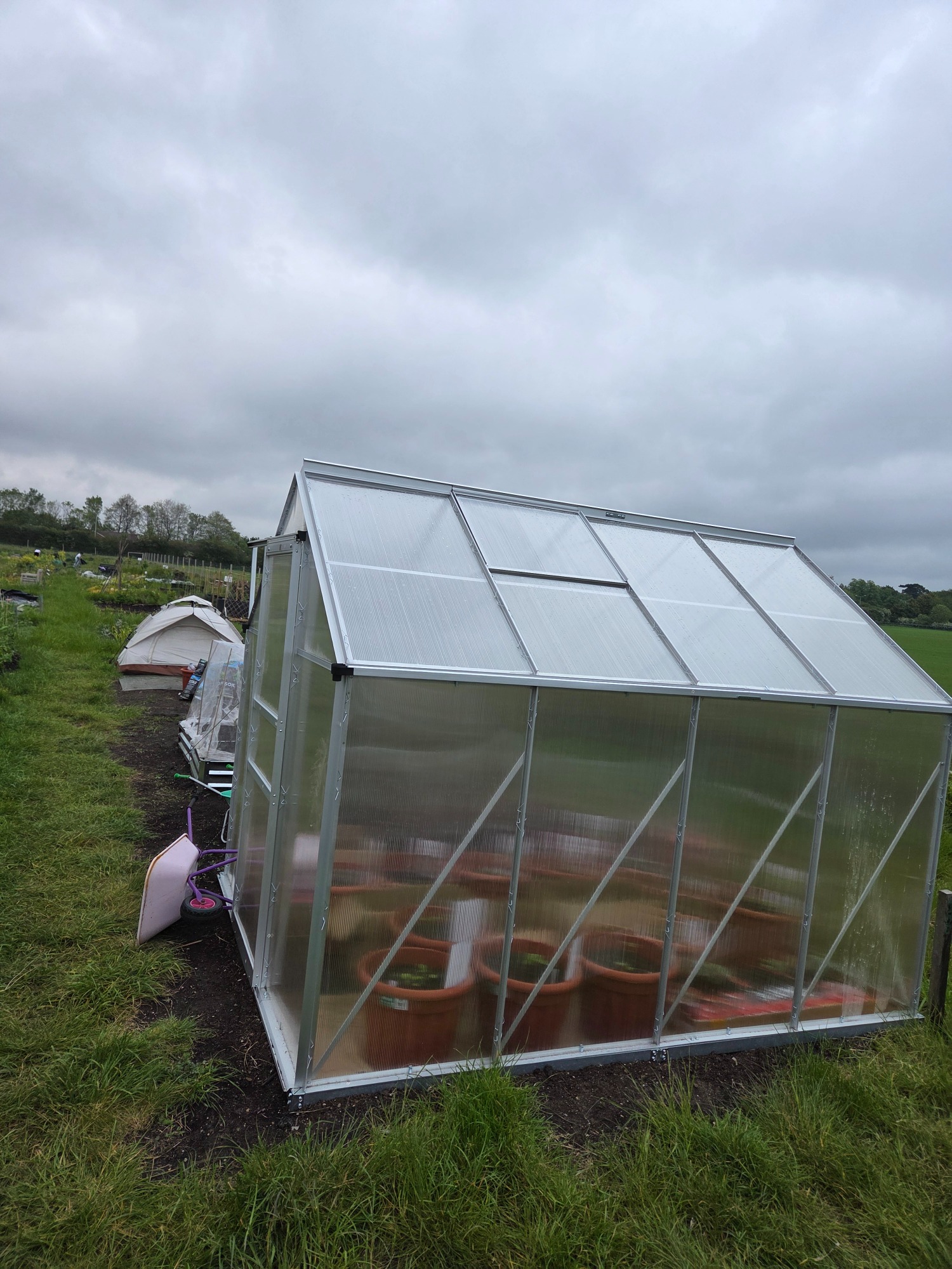 New Perspex hothouse A metal greenhouse on a grassy field under a cloudy sky.
