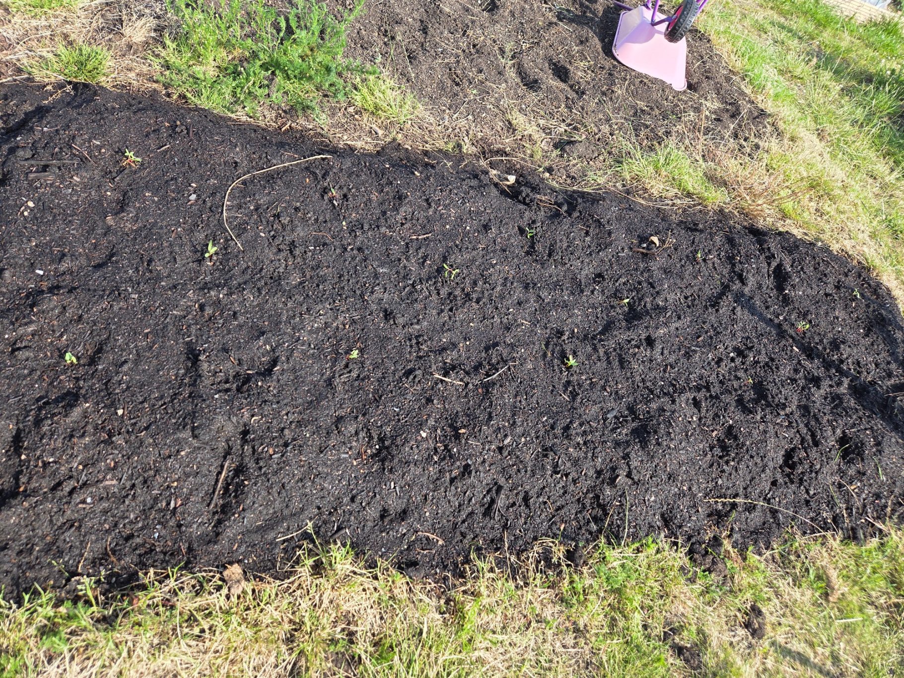 Freshly tilled soil in a garden bed, ready for planting seeds.