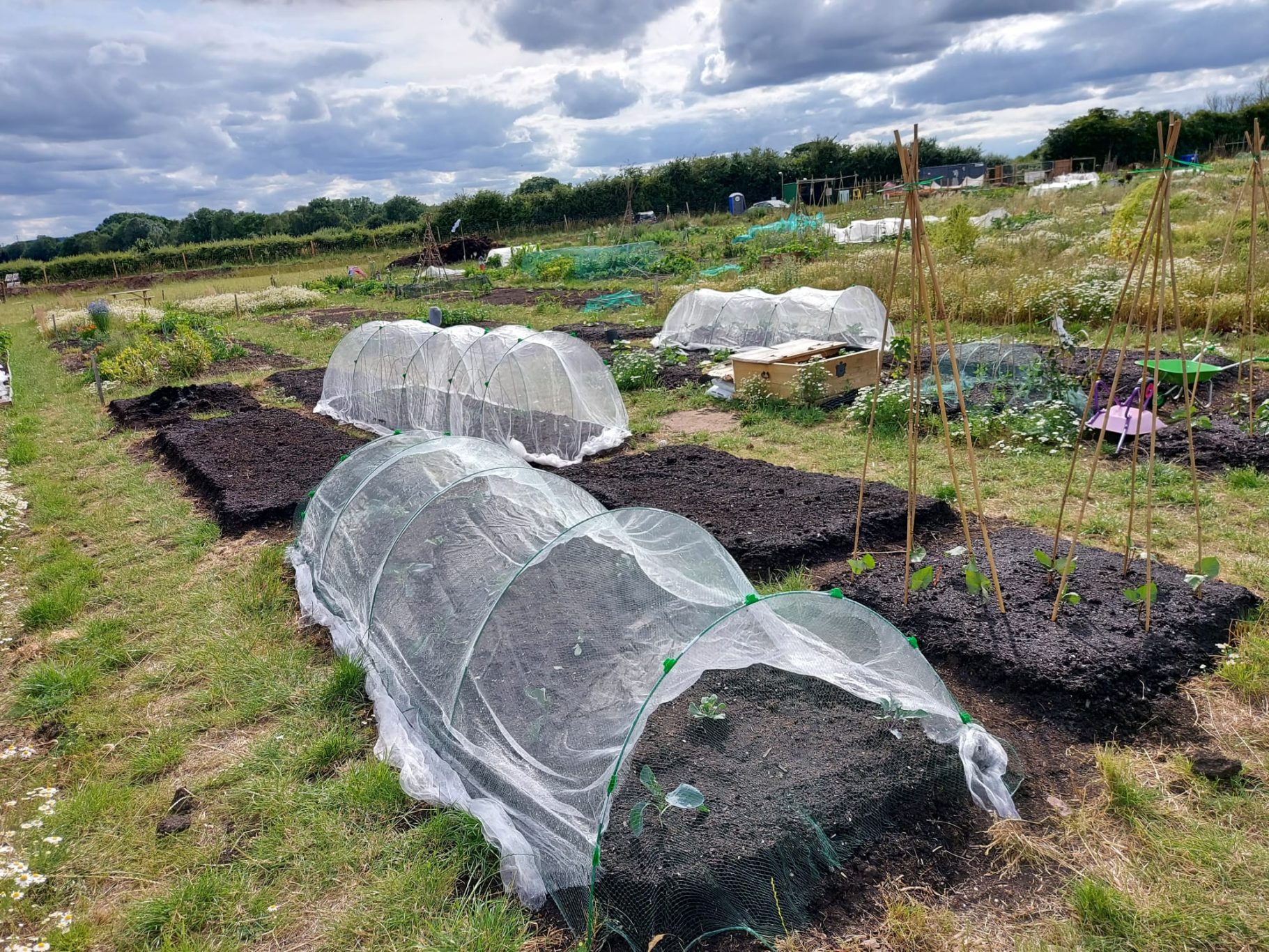 Vegetable garden with covered beds and green plants under a cloudy sky.