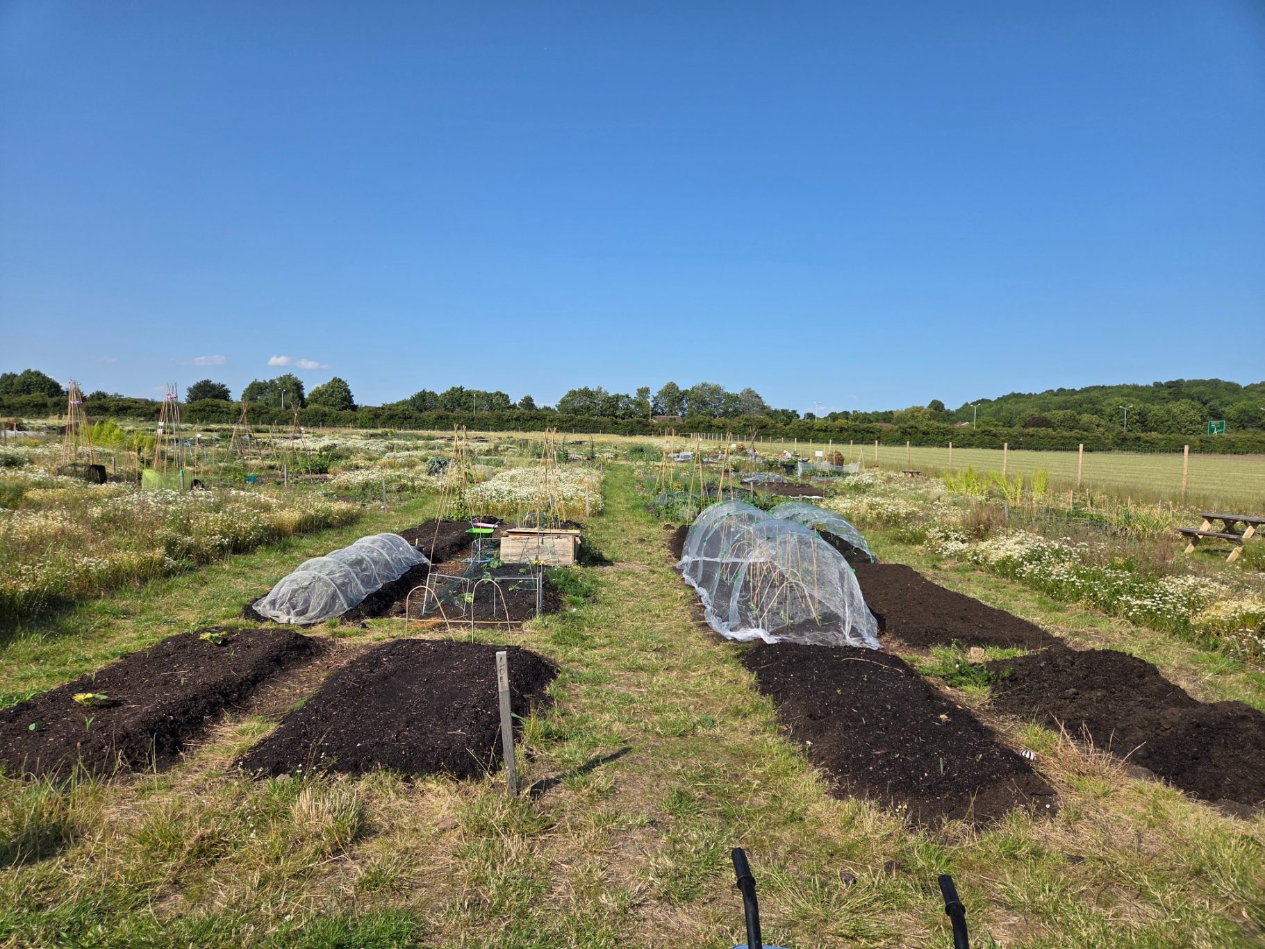 Vegetable beds covered with mesh, set in a spacious green field under a clear blue sky.