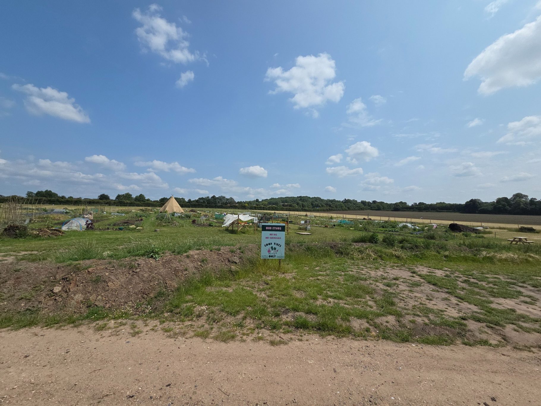A rural landscape with scattered debris, a blue bin, and a clear blue sky.