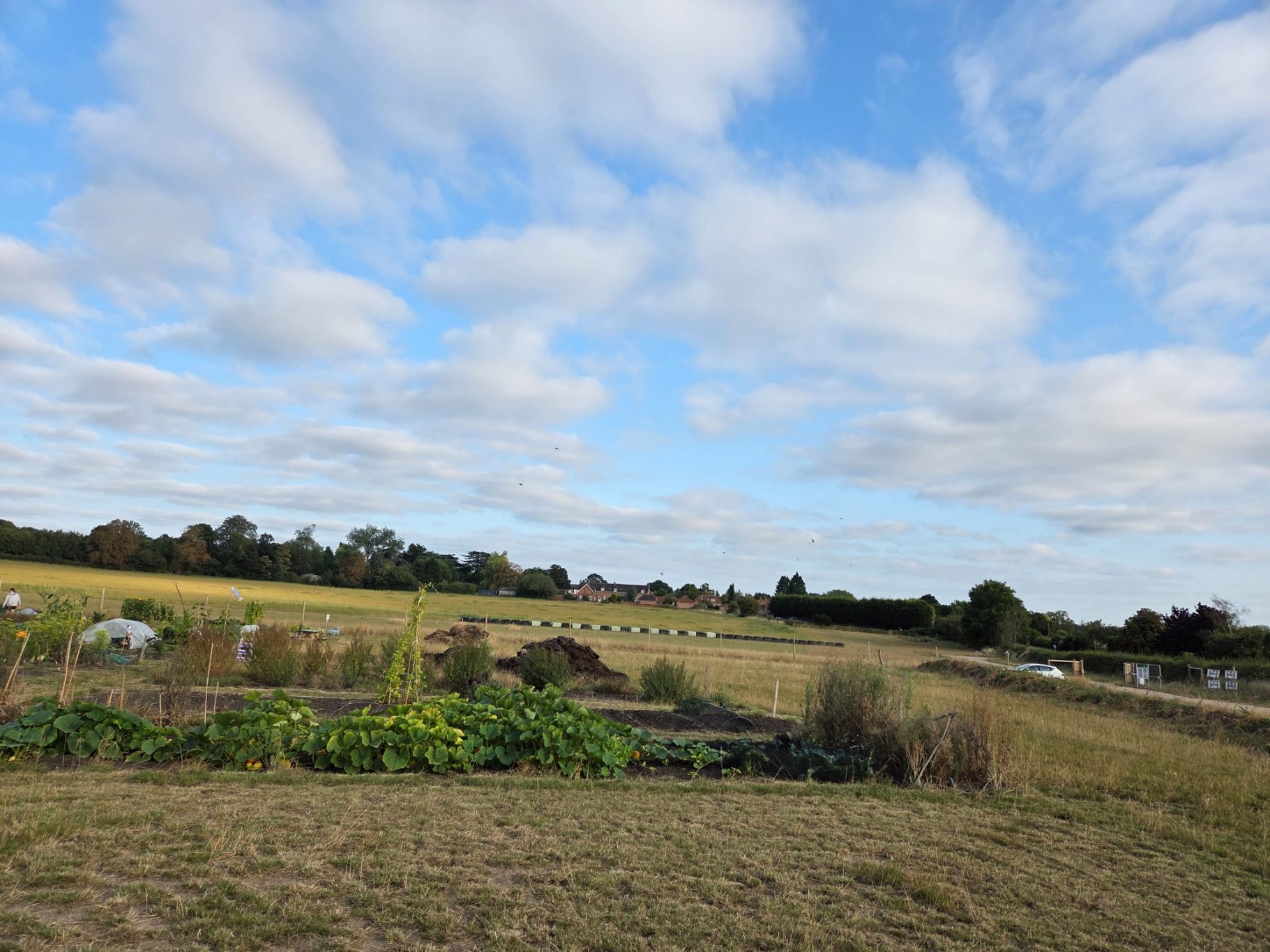A landscape featuring fields, cloudy sky, and distant trees.