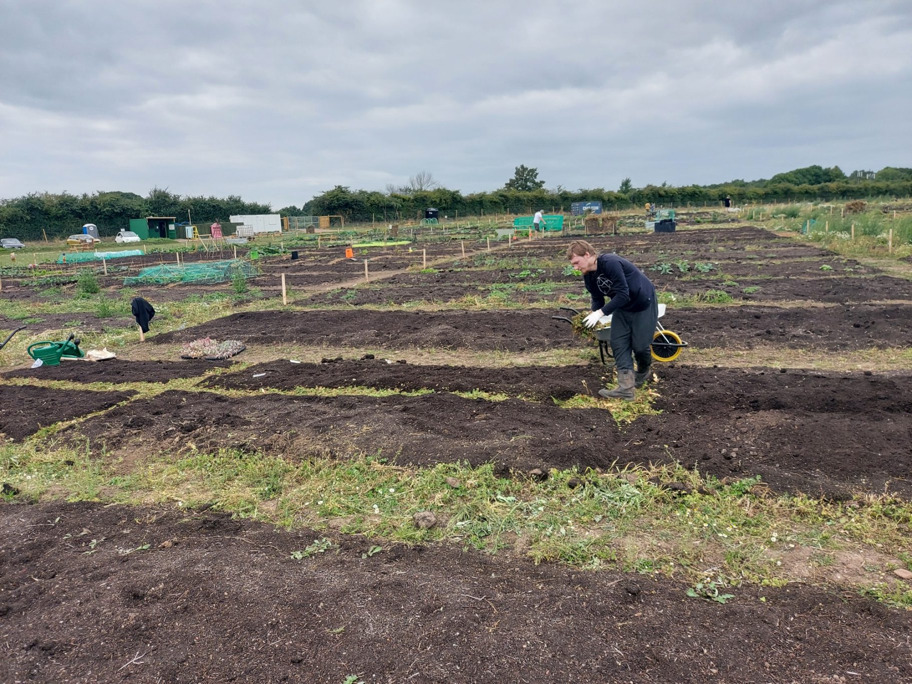 Person tending to rows of crops in a field under a cloudy sky.