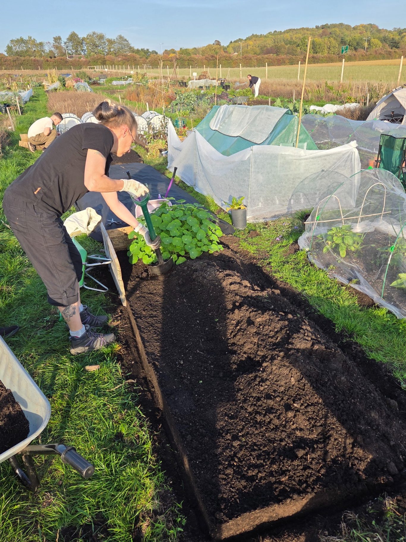 Person tending to a vegetable bed in a community garden, surrounded by plants and protective covers.