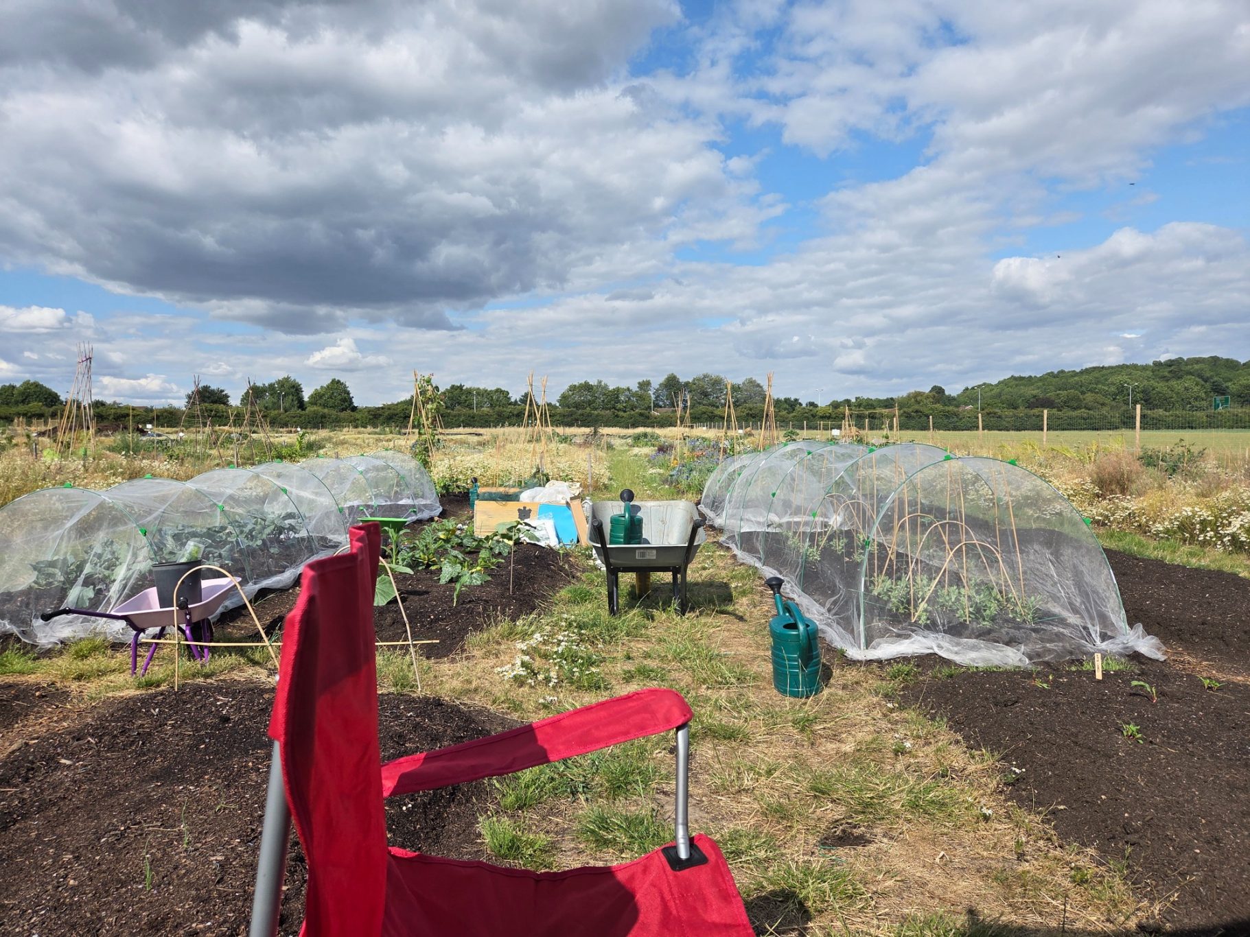 A garden with plant covers, a red chair, and a view of a field under a cloudy sky.
