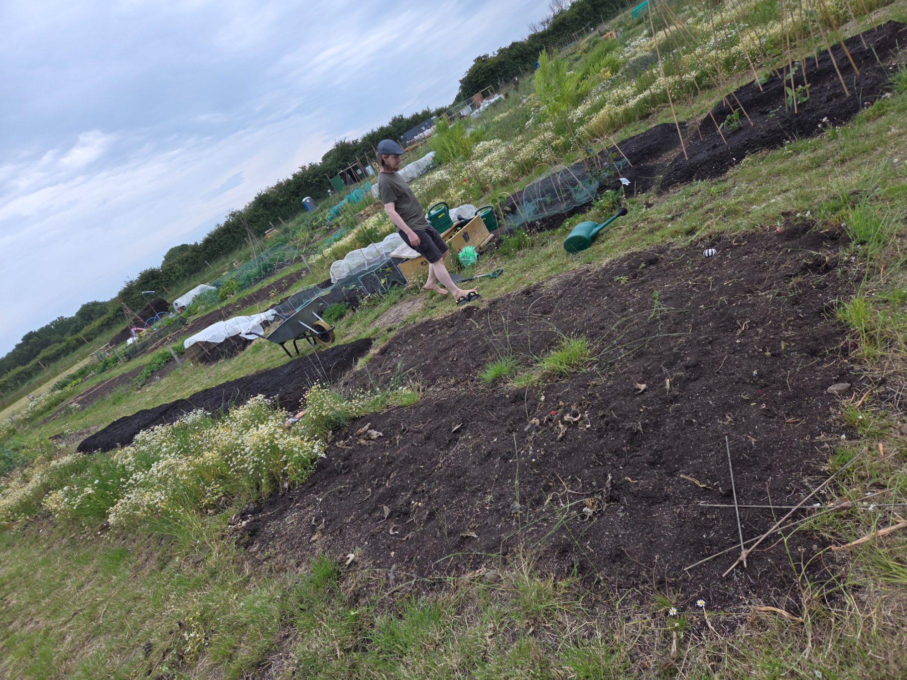 A person tending to an allotment plot with soil and plants in the background.