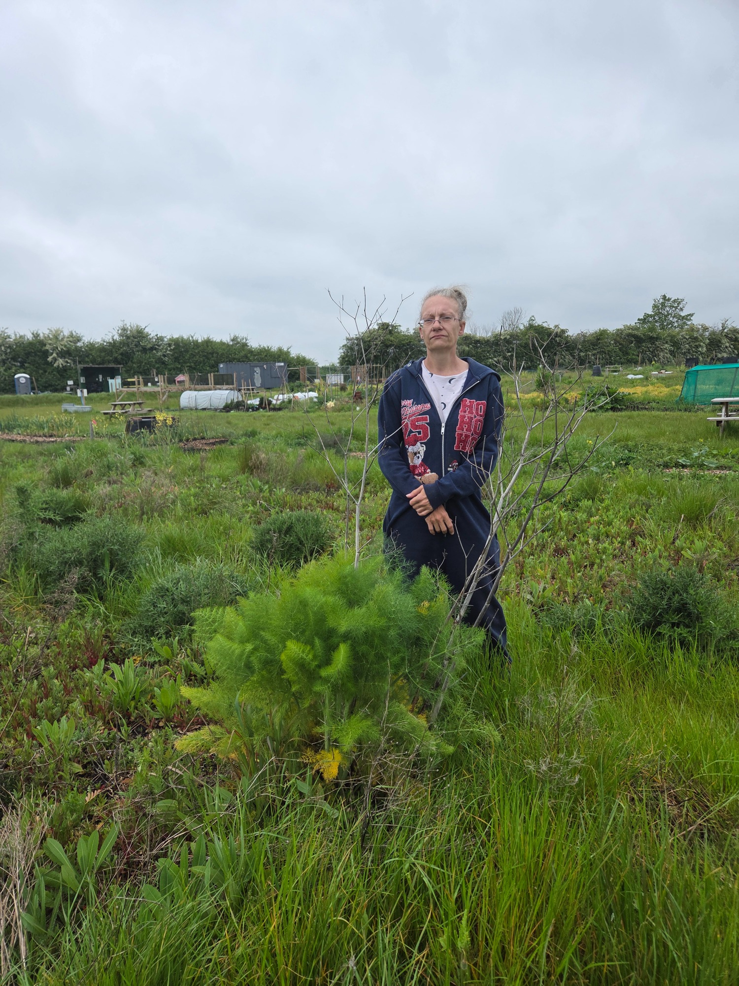 Overgrown abandoned plots A person standing in a field, holding a tool among green plants and grass.