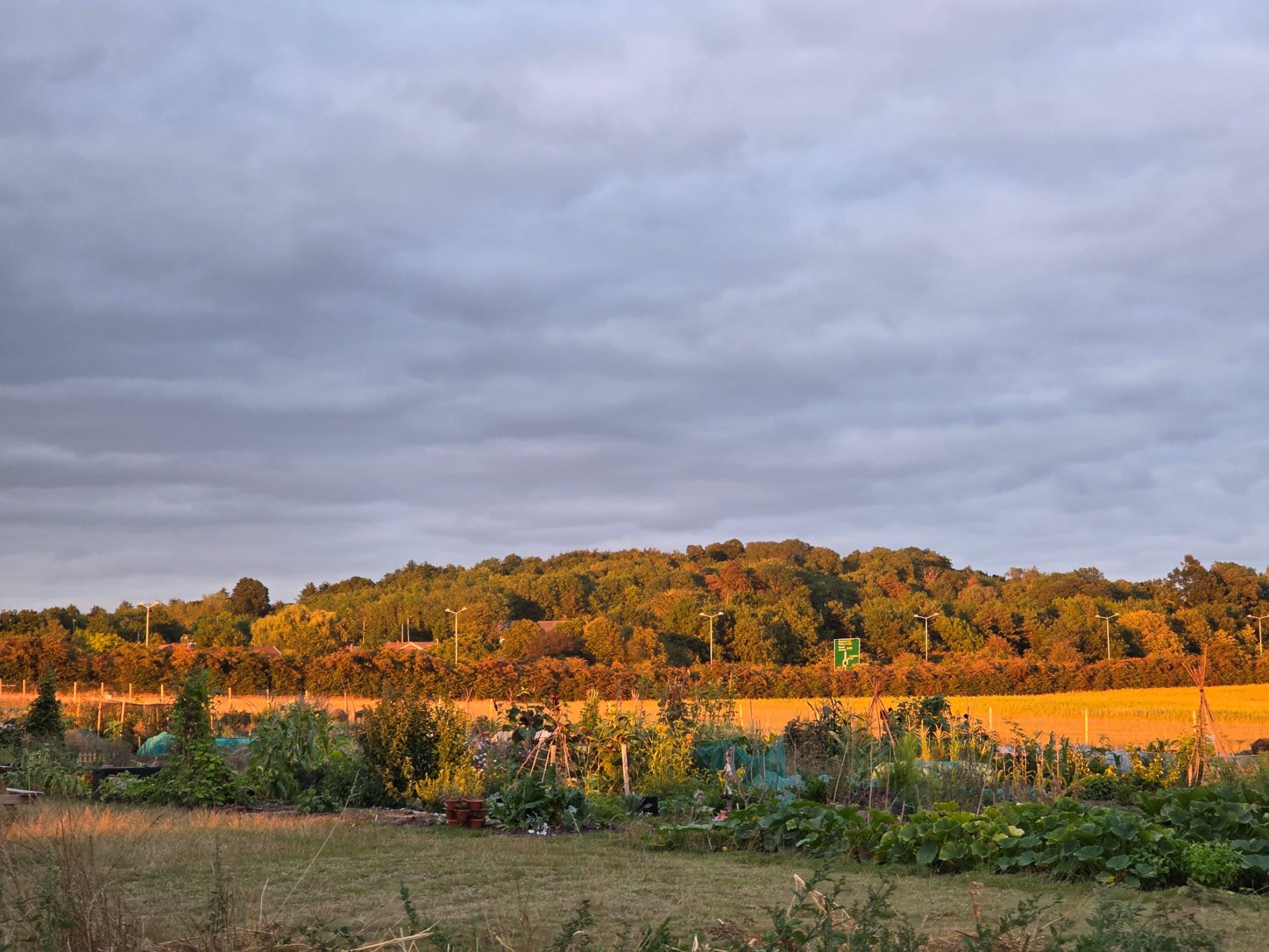 A serene landscape featuring rolling hills and lush greenery under a cloudy sky.