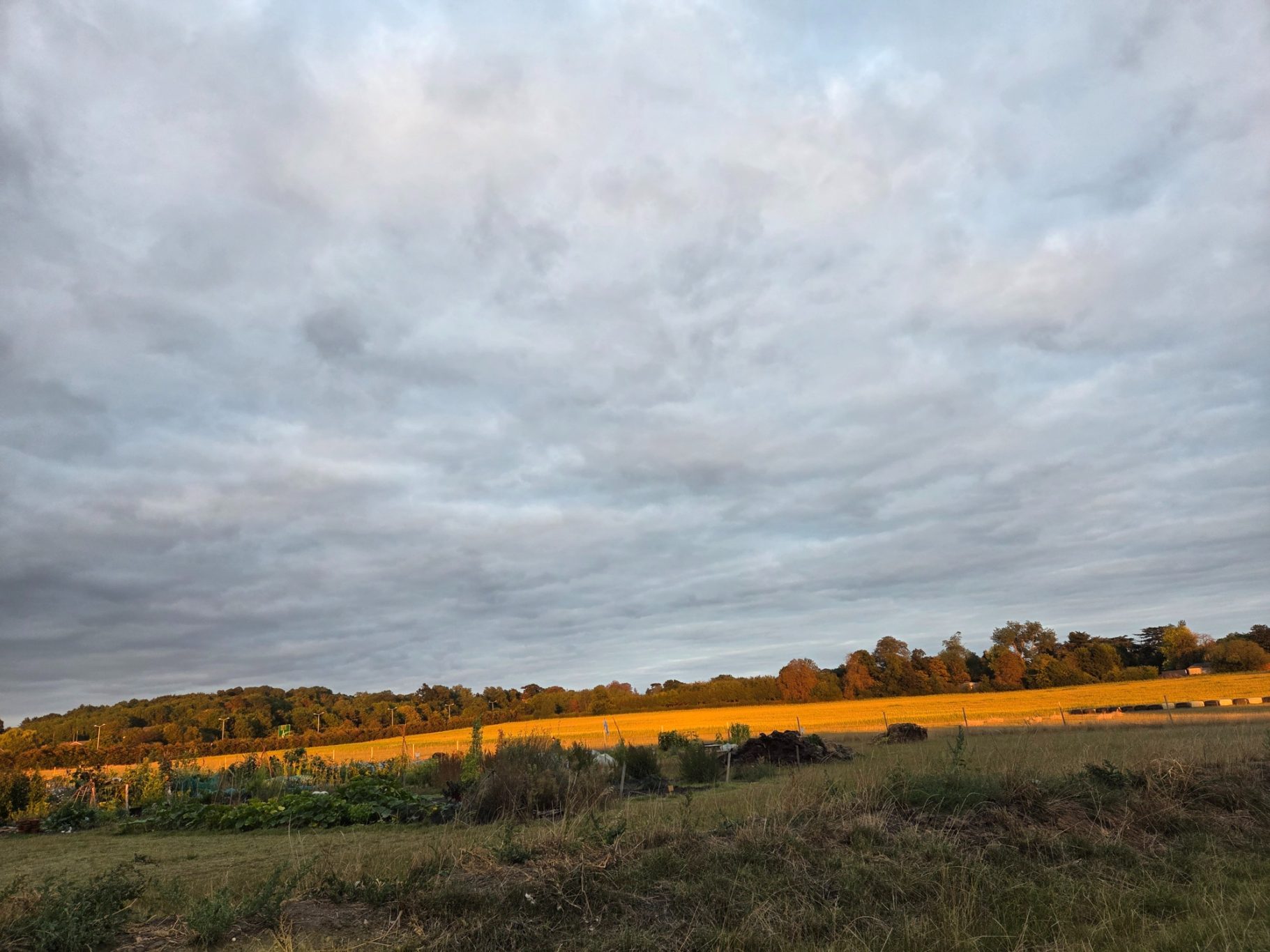 Sunlit landscape with golden fields under a cloudy sky.