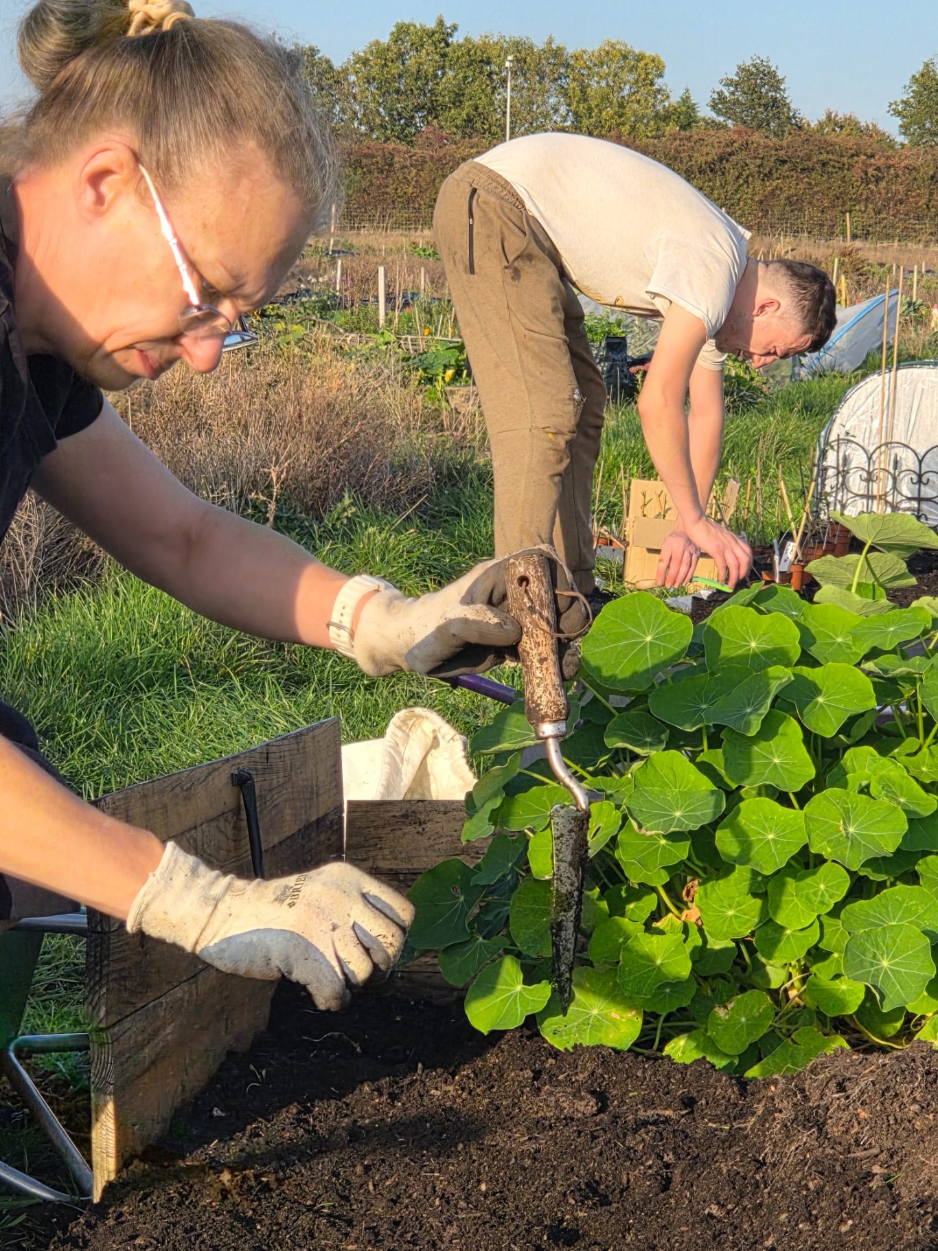A woman gardening in the foreground while a man works in the background.