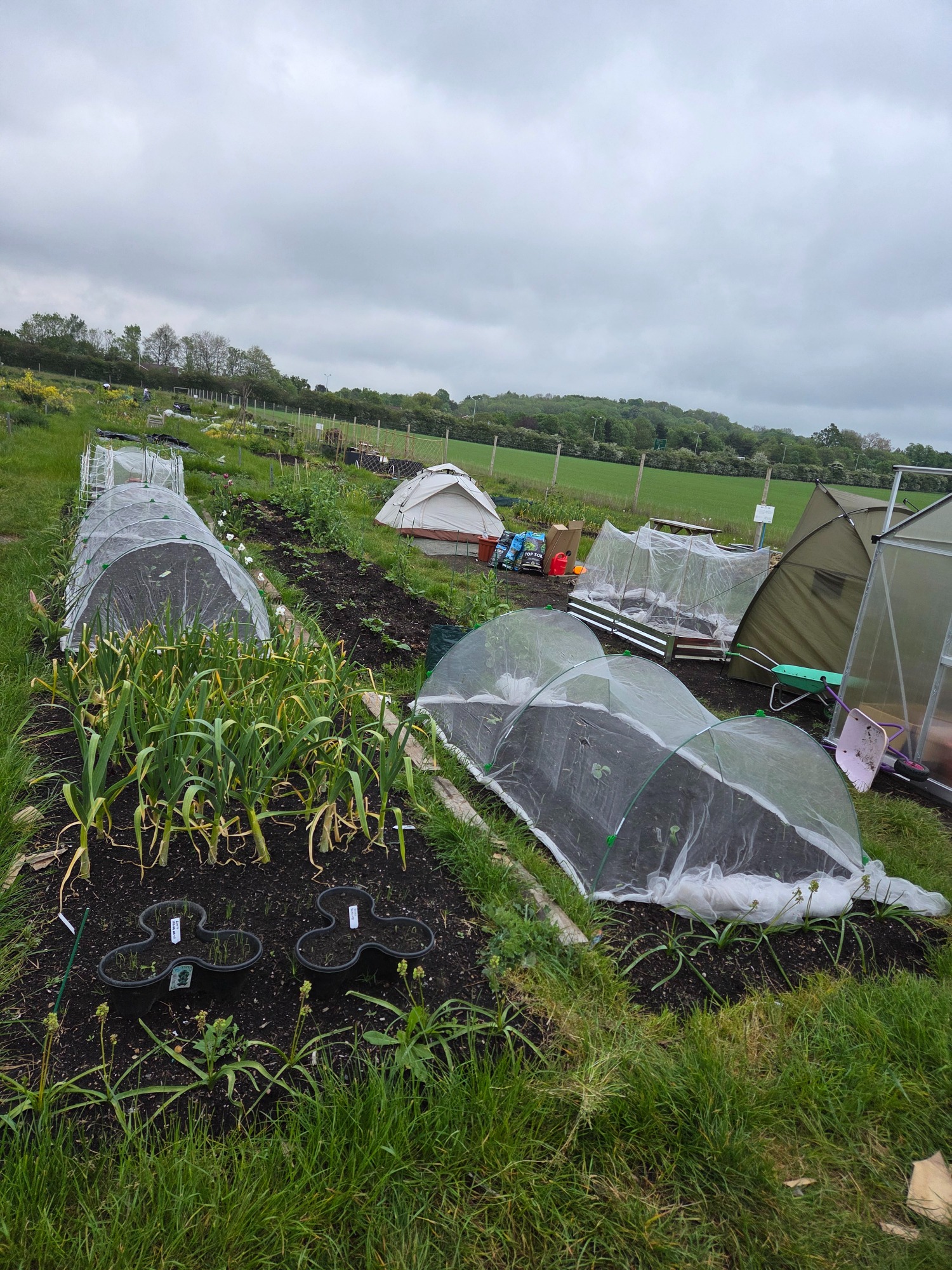 Plot 1CE Vegetable garden with protective covers, tents, and green fields in the background.