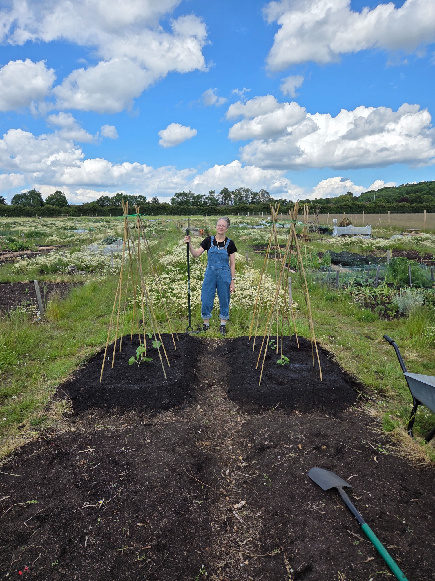 Person in blue overalls standing between planted rows in a garden, with a sunny sky above.